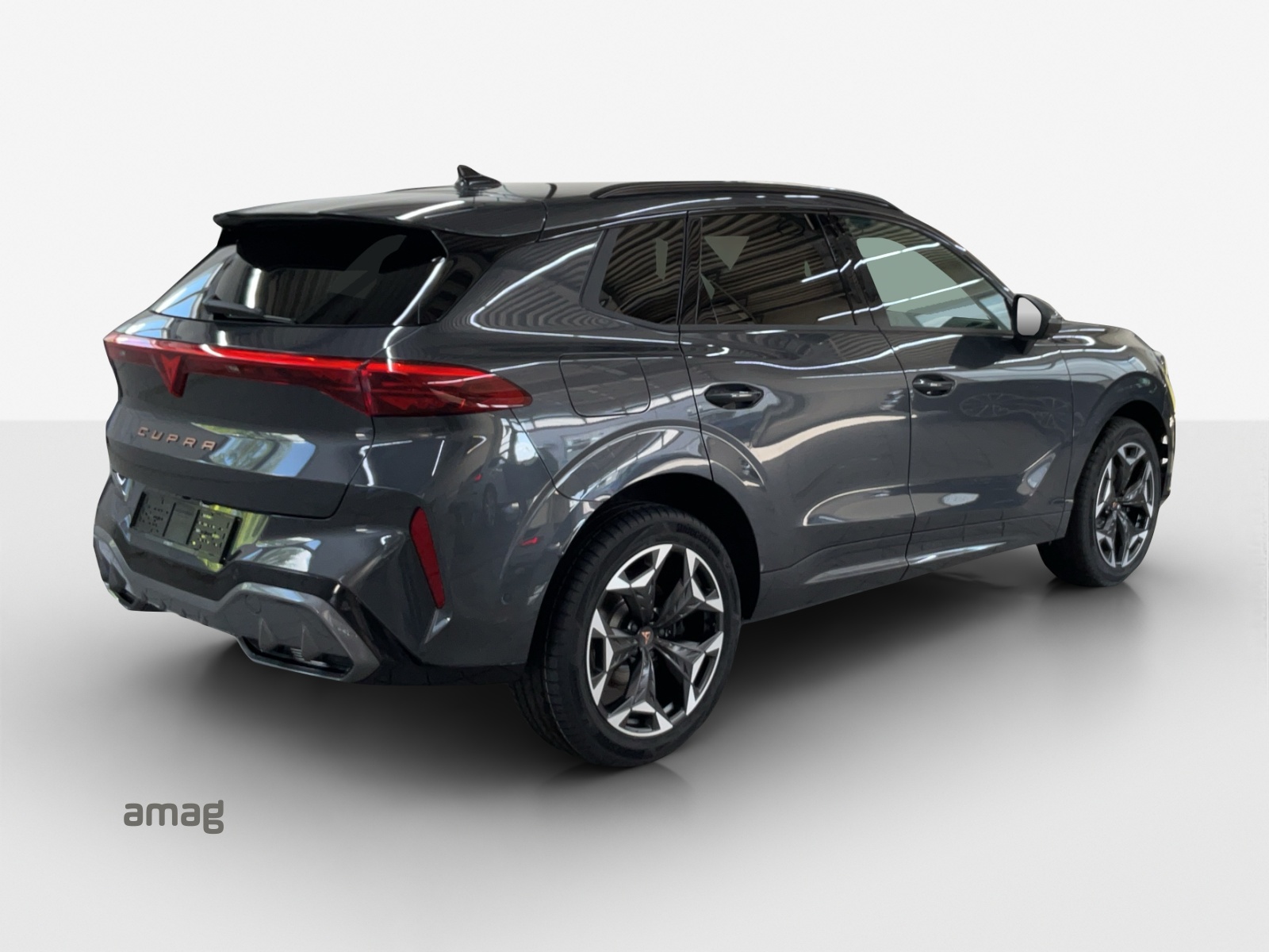 CUPRA Terramar 2.0 TSI DSG 4Drive-image-4