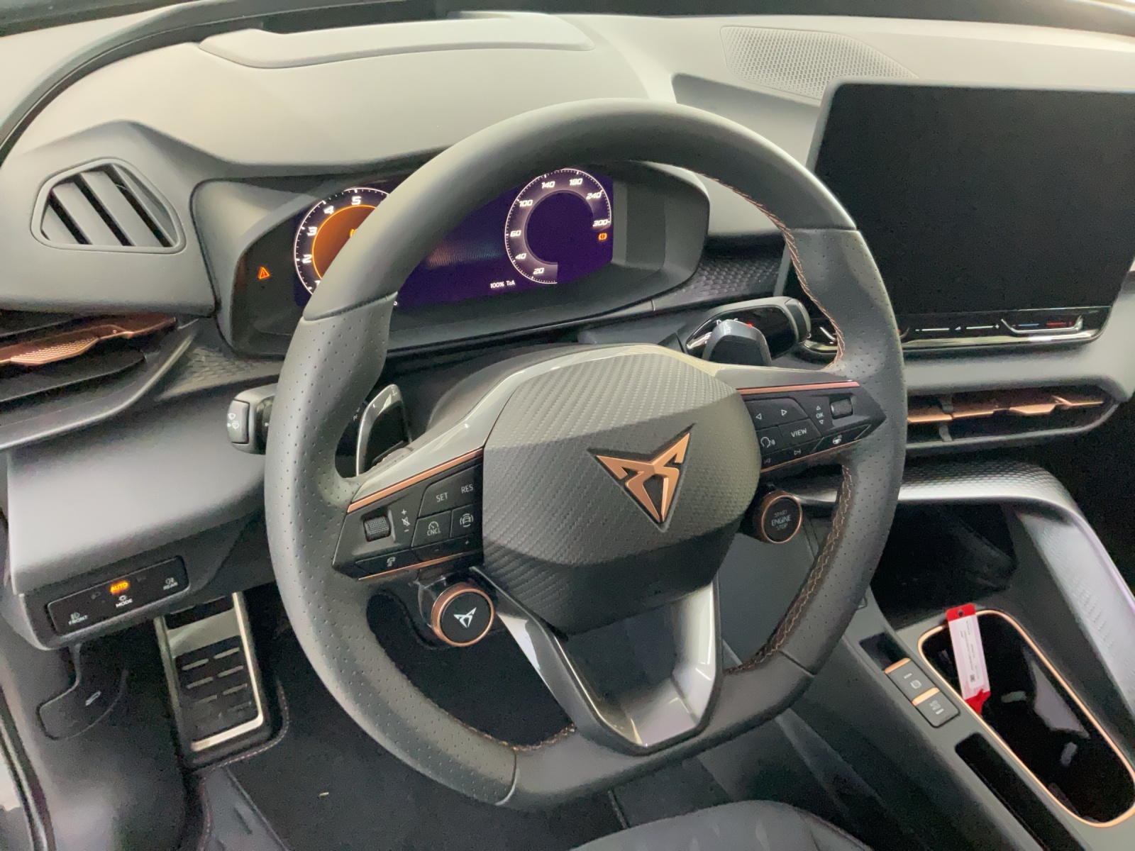 CUPRA Terramar 2.0 TSI DSG 4Drive-image-9