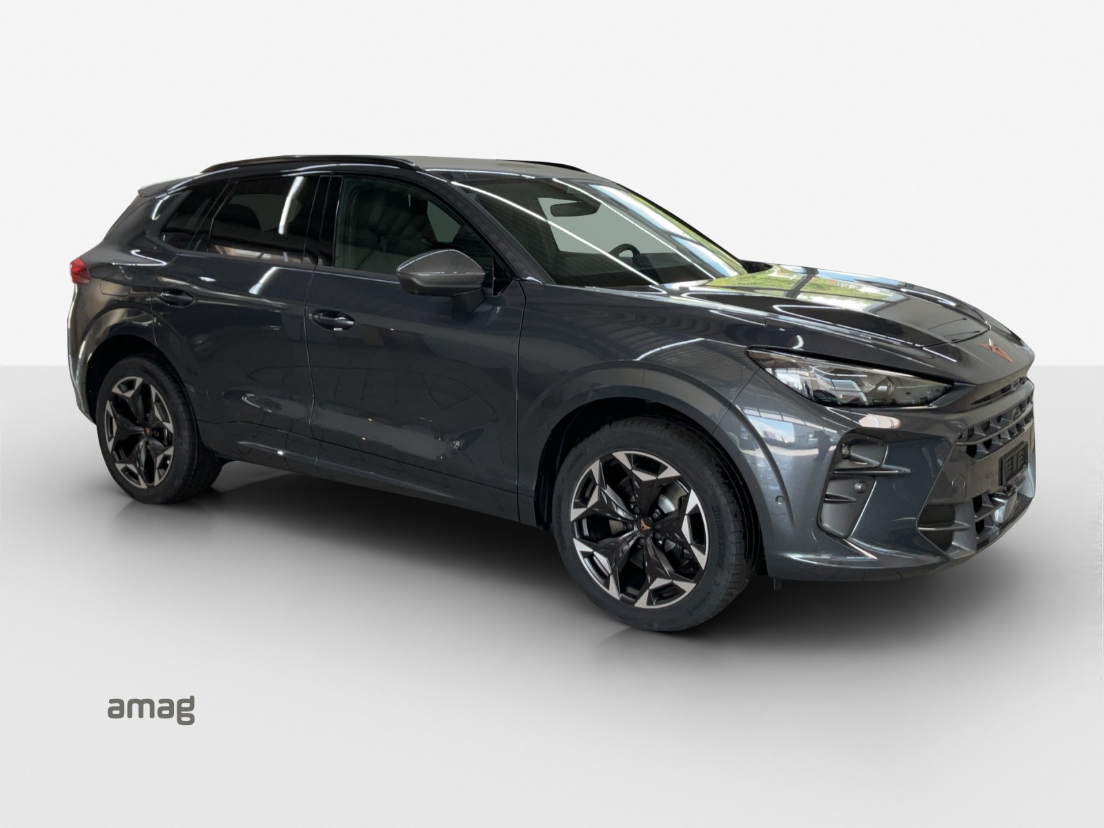 CUPRA Terramar 2.0 TSI DSG 4Drive-image-5
