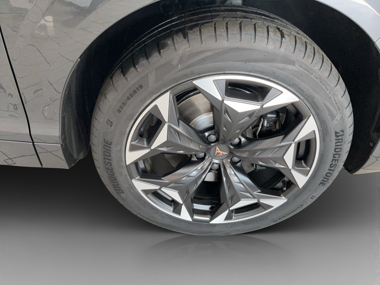 CUPRA Terramar 2.0 TSI DSG 4Drive-image-14