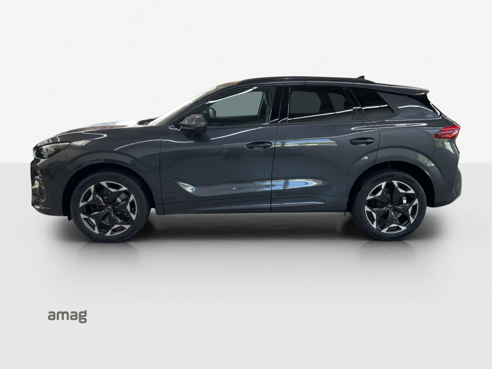 CUPRA Terramar 2.0 TSI DSG 4Drive-showroom-element-1