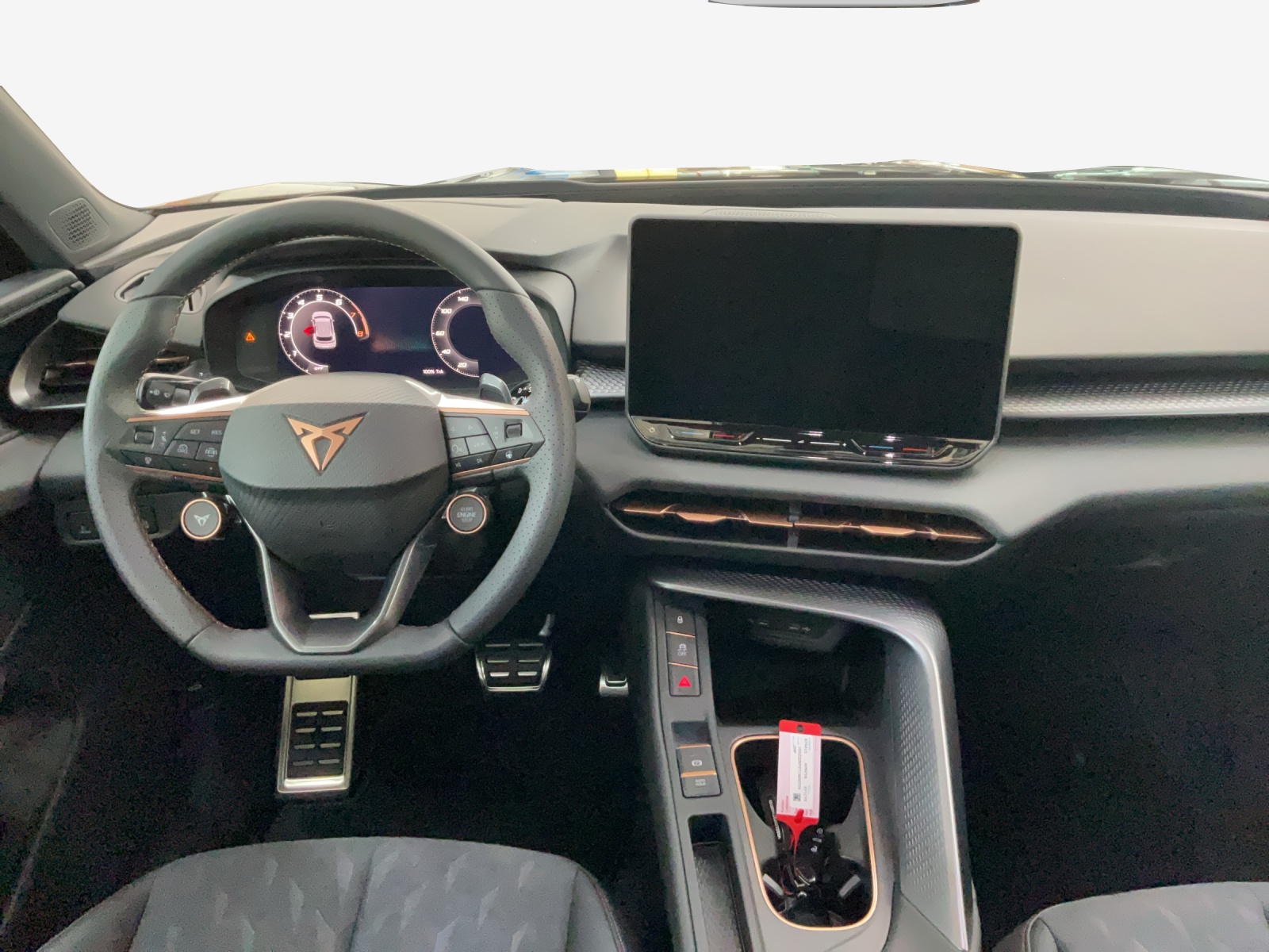 CUPRA Terramar 2.0 TSI DSG 4Drive-image-8