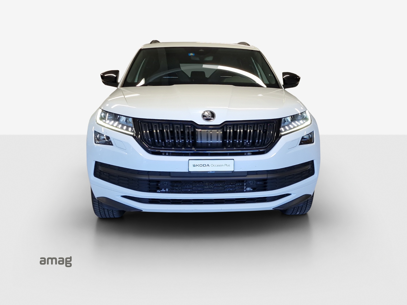 SKODA Kodiaq 2.0 TDI CR Sport Line 4x4 DSG-image-6