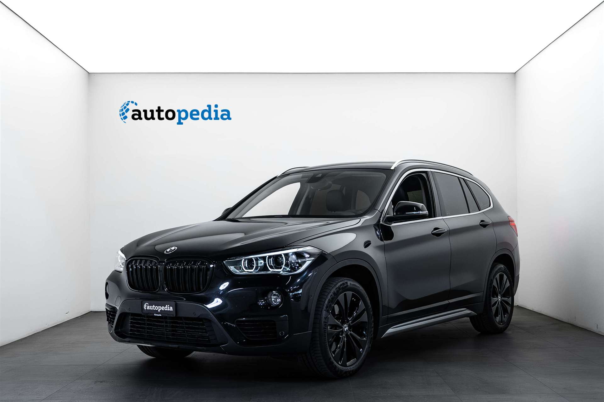 BMW X1 xDrive 20d xLine Steptronic