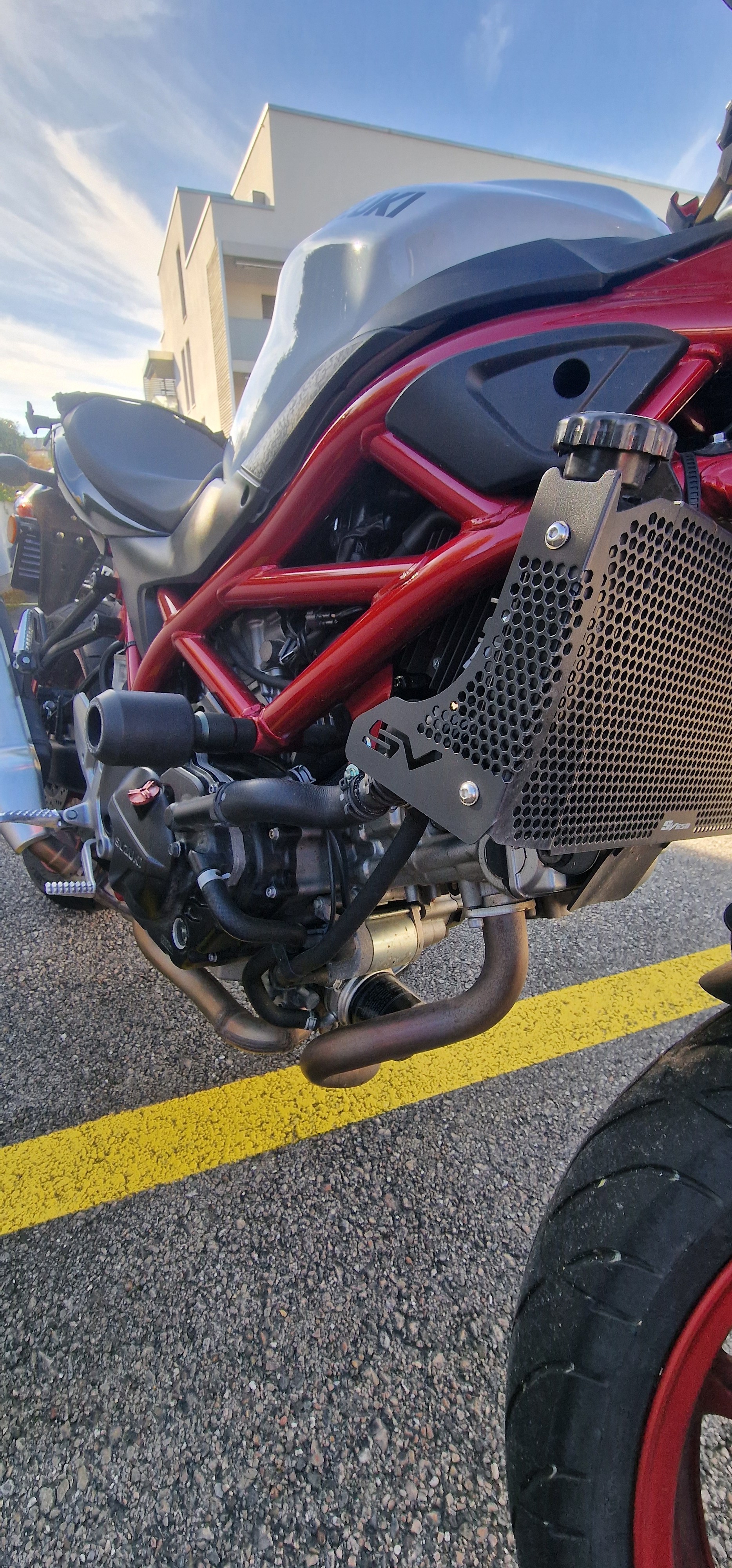 SUZUKI SV 650 Custom (35kW)-image-2