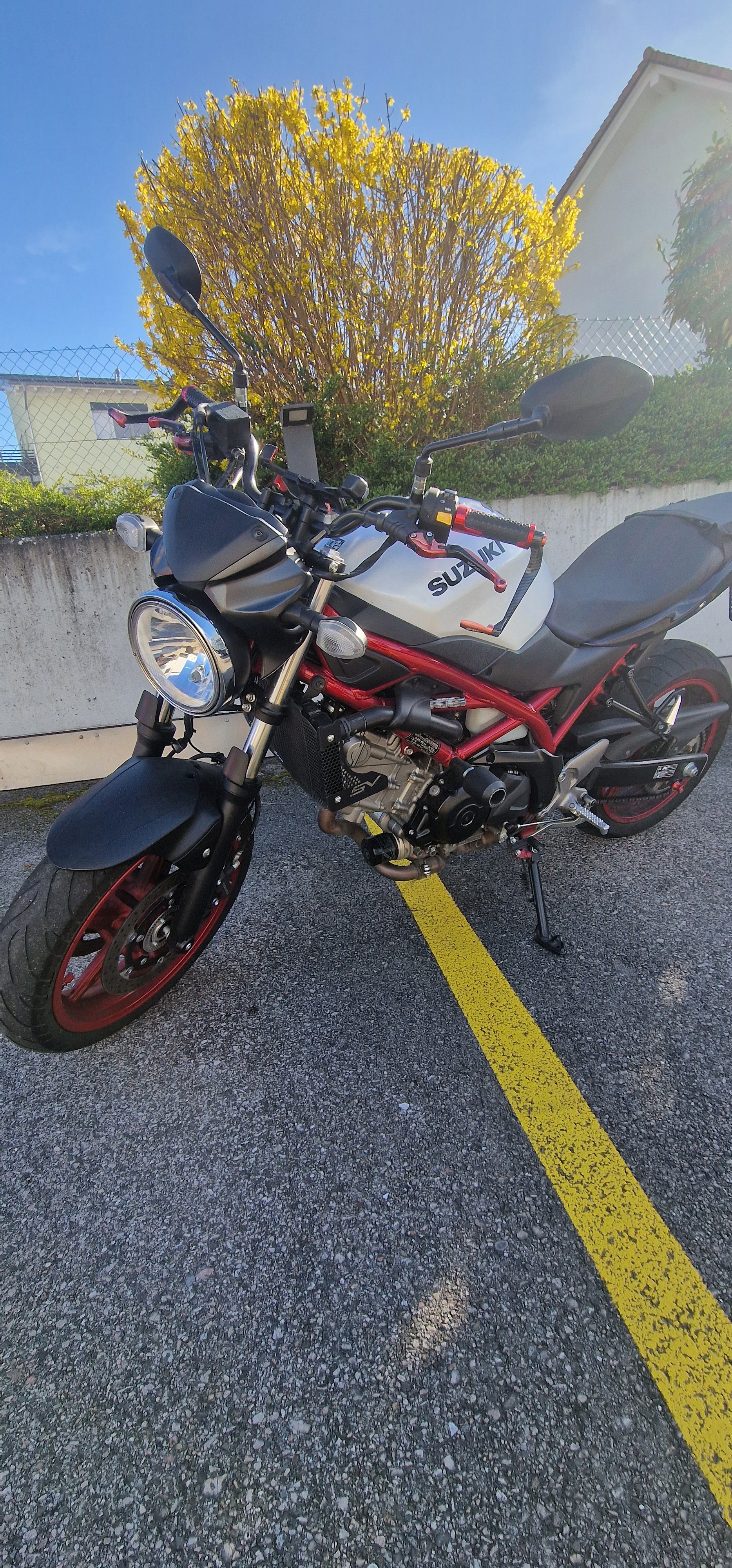 SUZUKI SV 650 Custom (35kW)-image-0