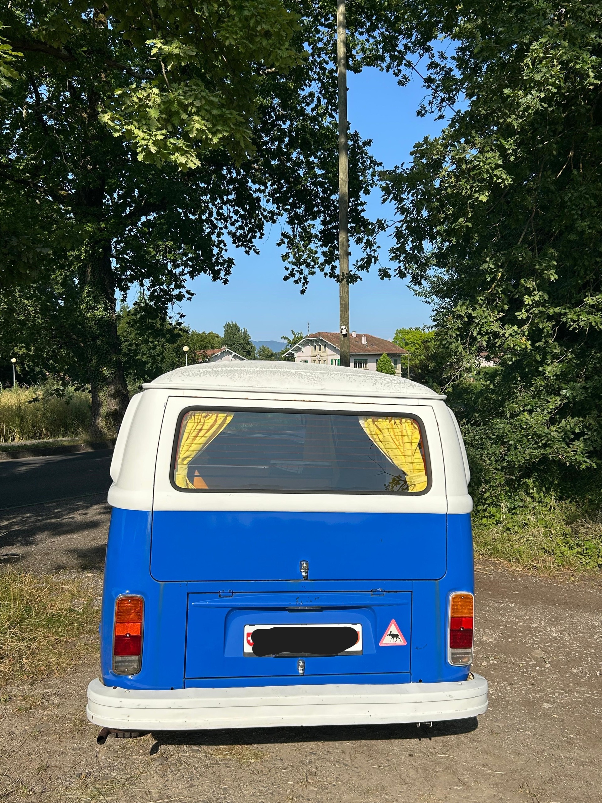 VW 23-image-3