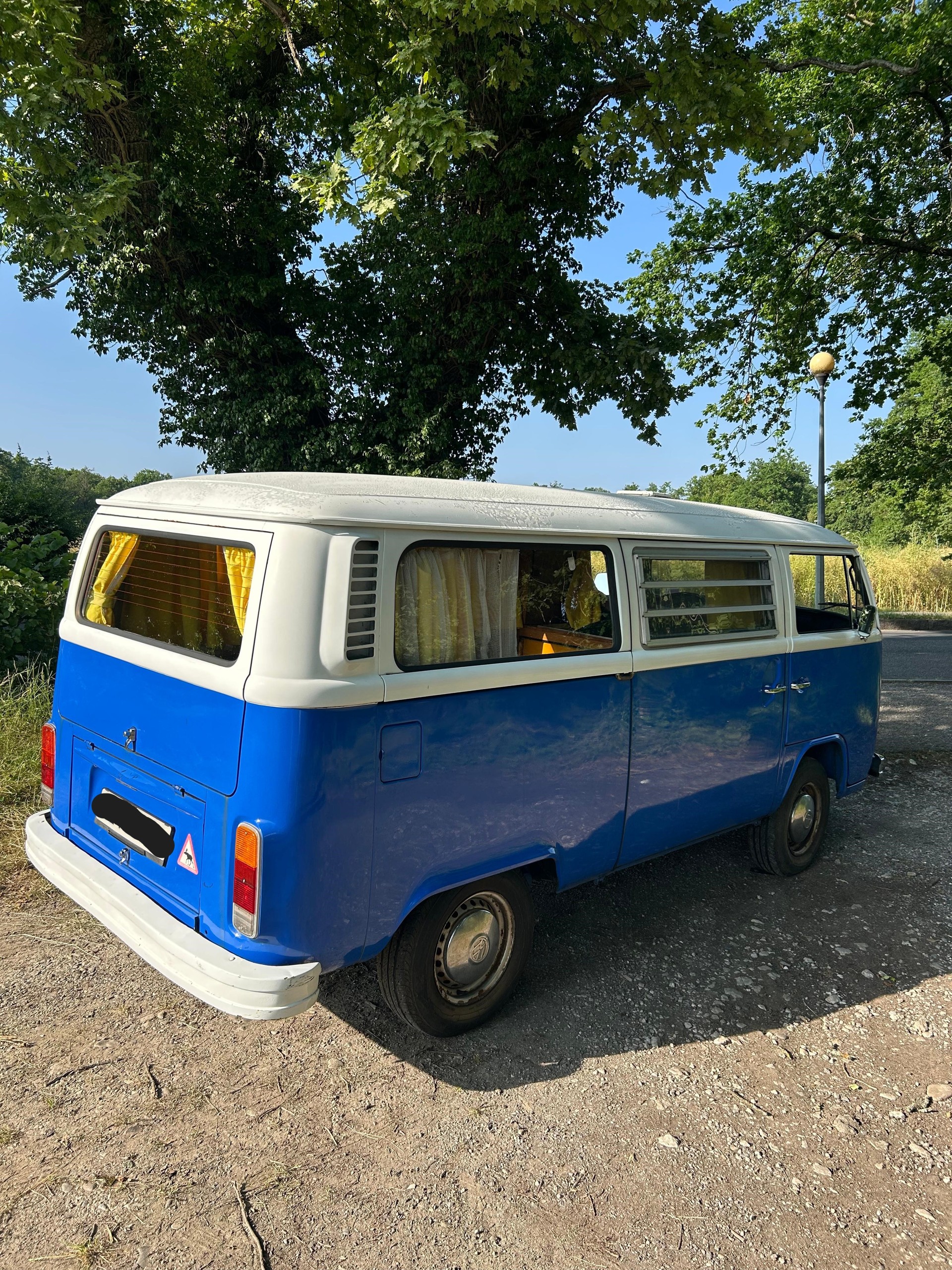 VW 23-image-2