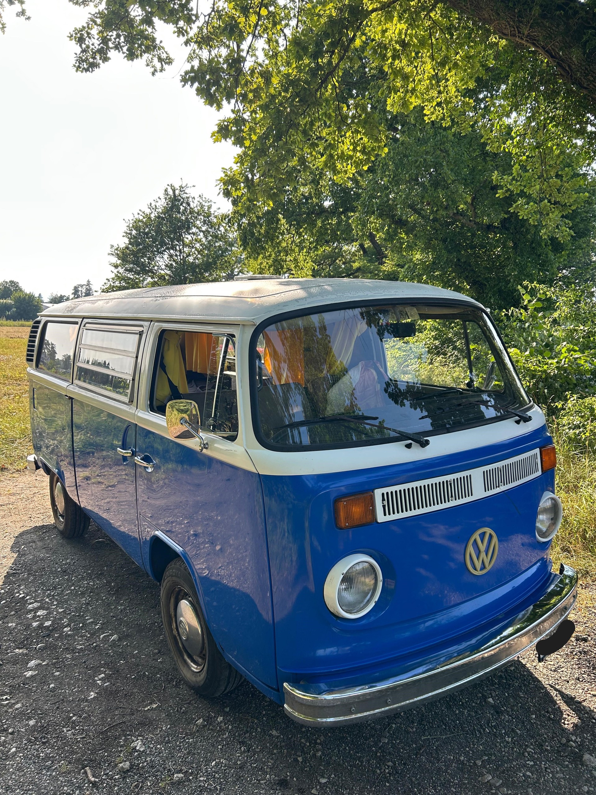 VW 23-image-1