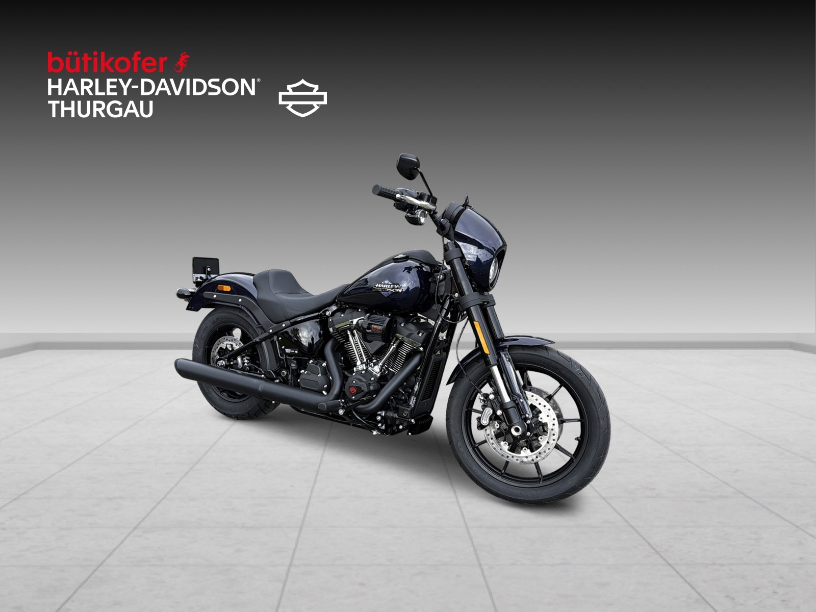 HARLEY-DAVIDSON FXLRS Low Rider S 117-image-0