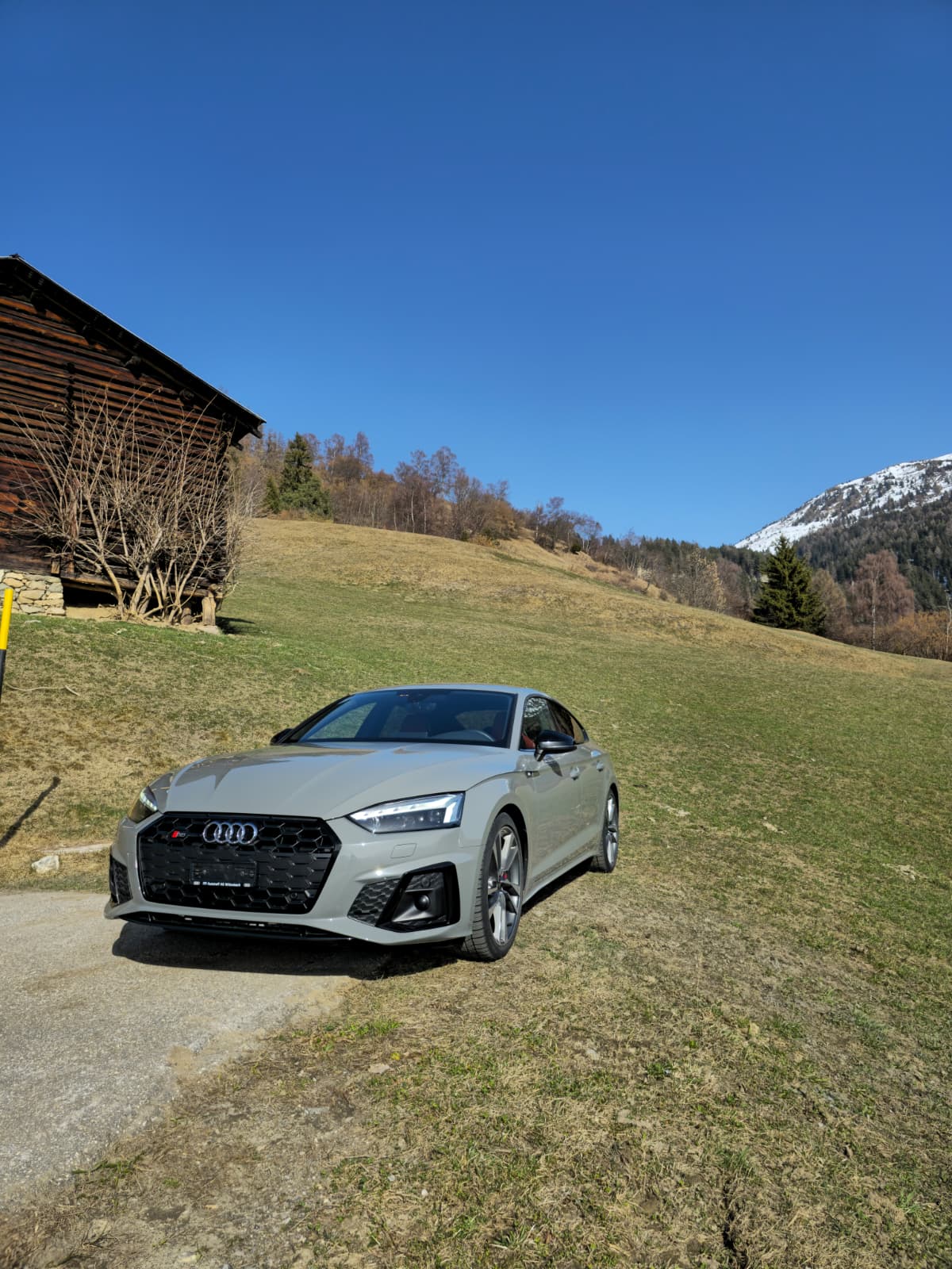 AUDI 3.0 V6 TDI quattro T-Tronic-image-3