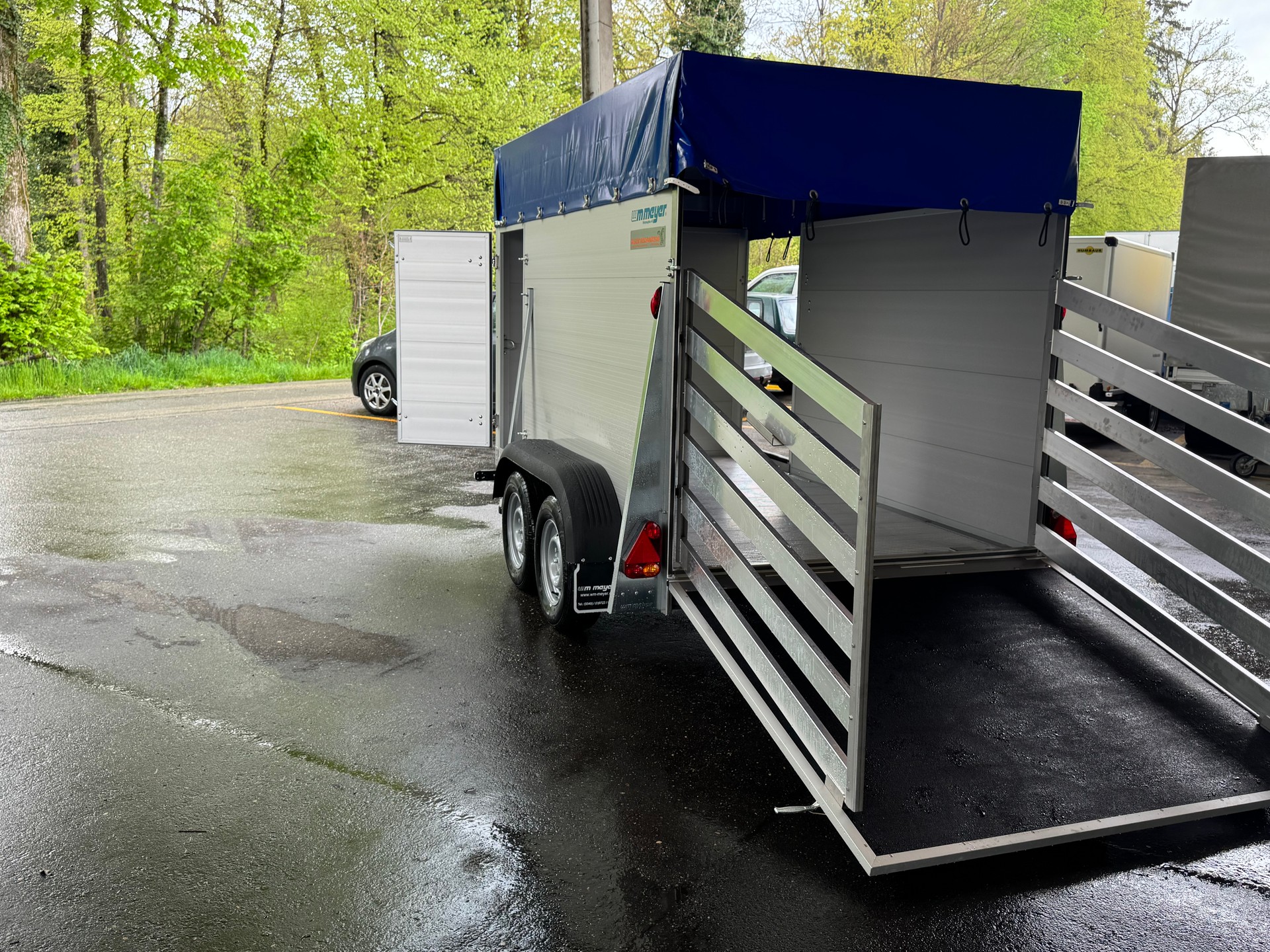 WM MEYER V 2730/164 Viehtransporter-image-7