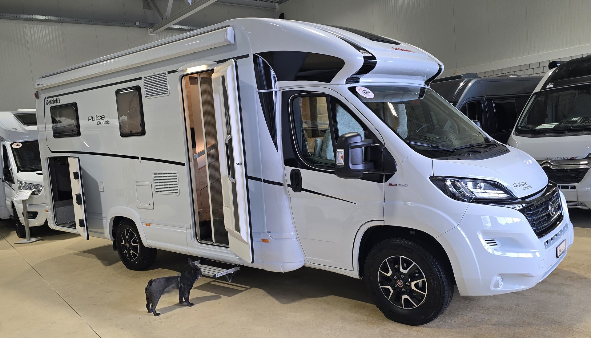 DETHLEFFS Pulse Classic T 7051EB, Fiat Ducato 2.3MJT 140PS-image-4