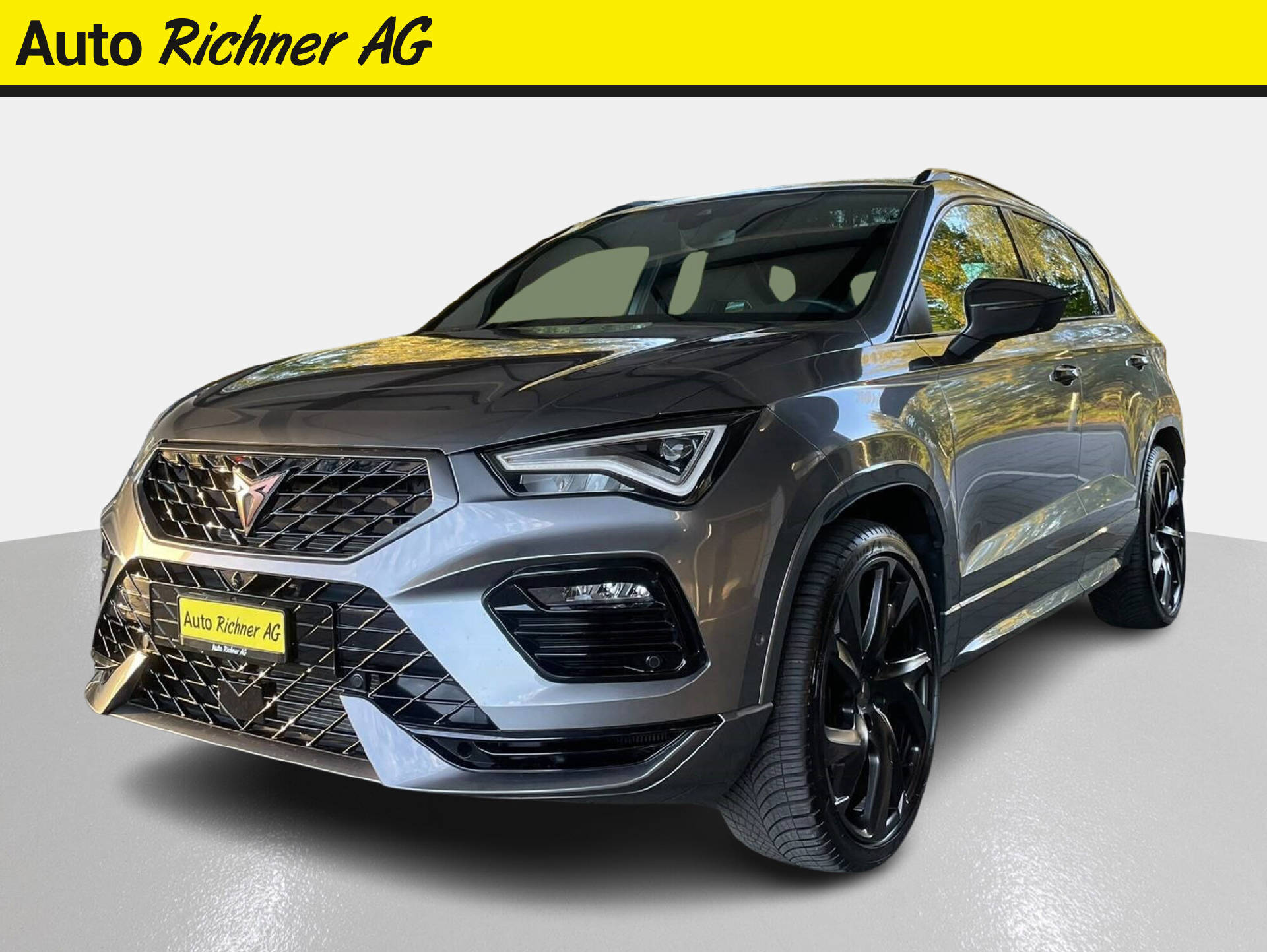 CUPRA Ateca 2.0 TSI VZ 4Drive DSG-showroom-element-1