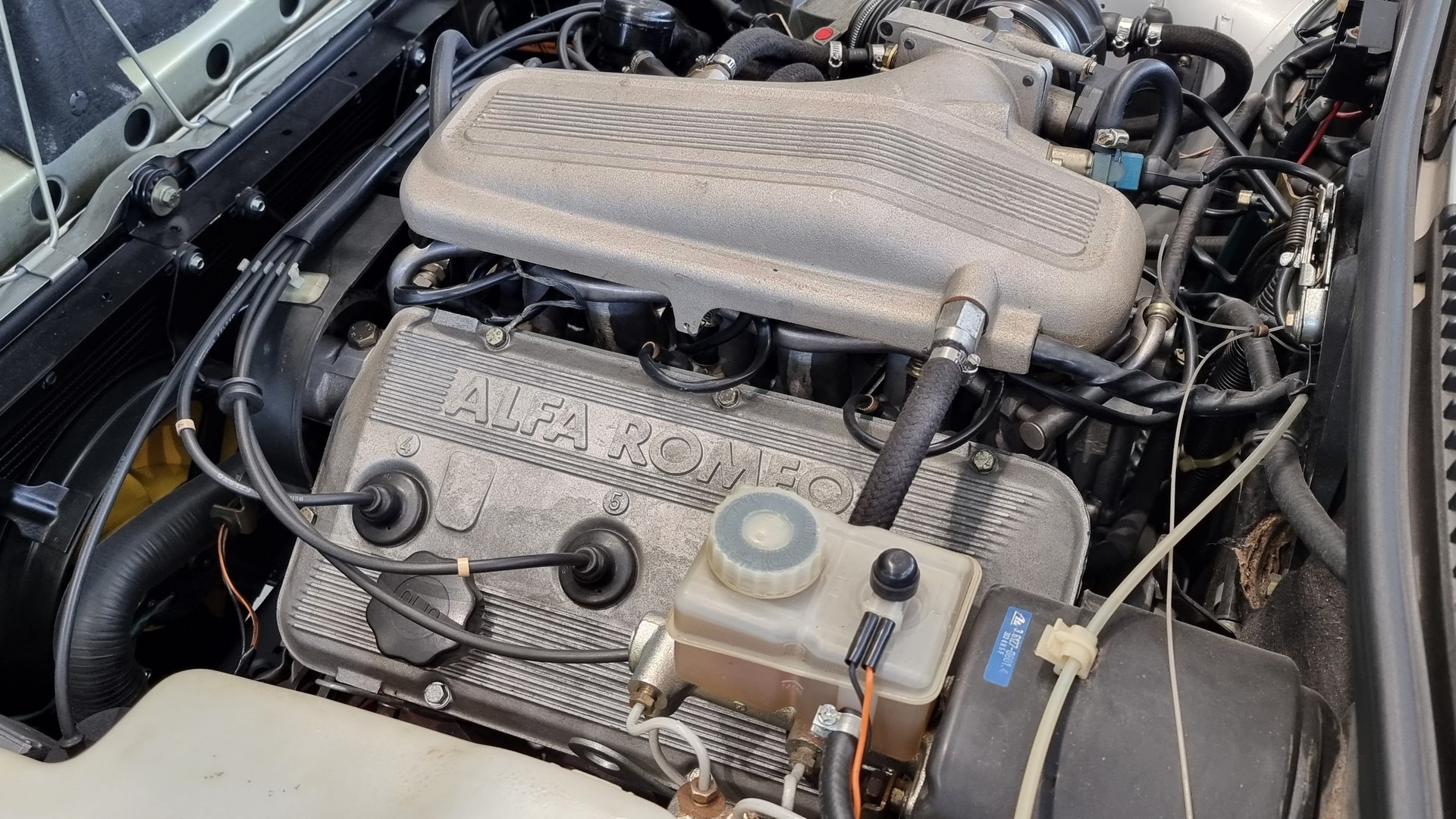 ALFA ROMEO GTV 6 2.5 Grand Prix-image-10