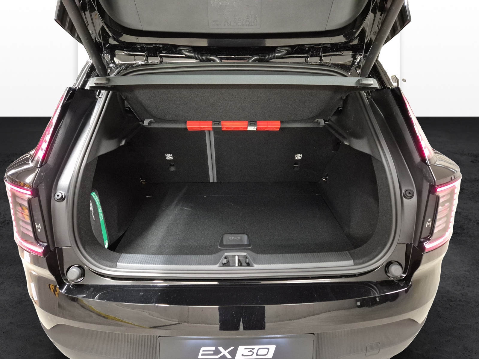 VOLVO EX30 E60 Twin Ultra Performance Sw. Black Ed. AWD-image-18