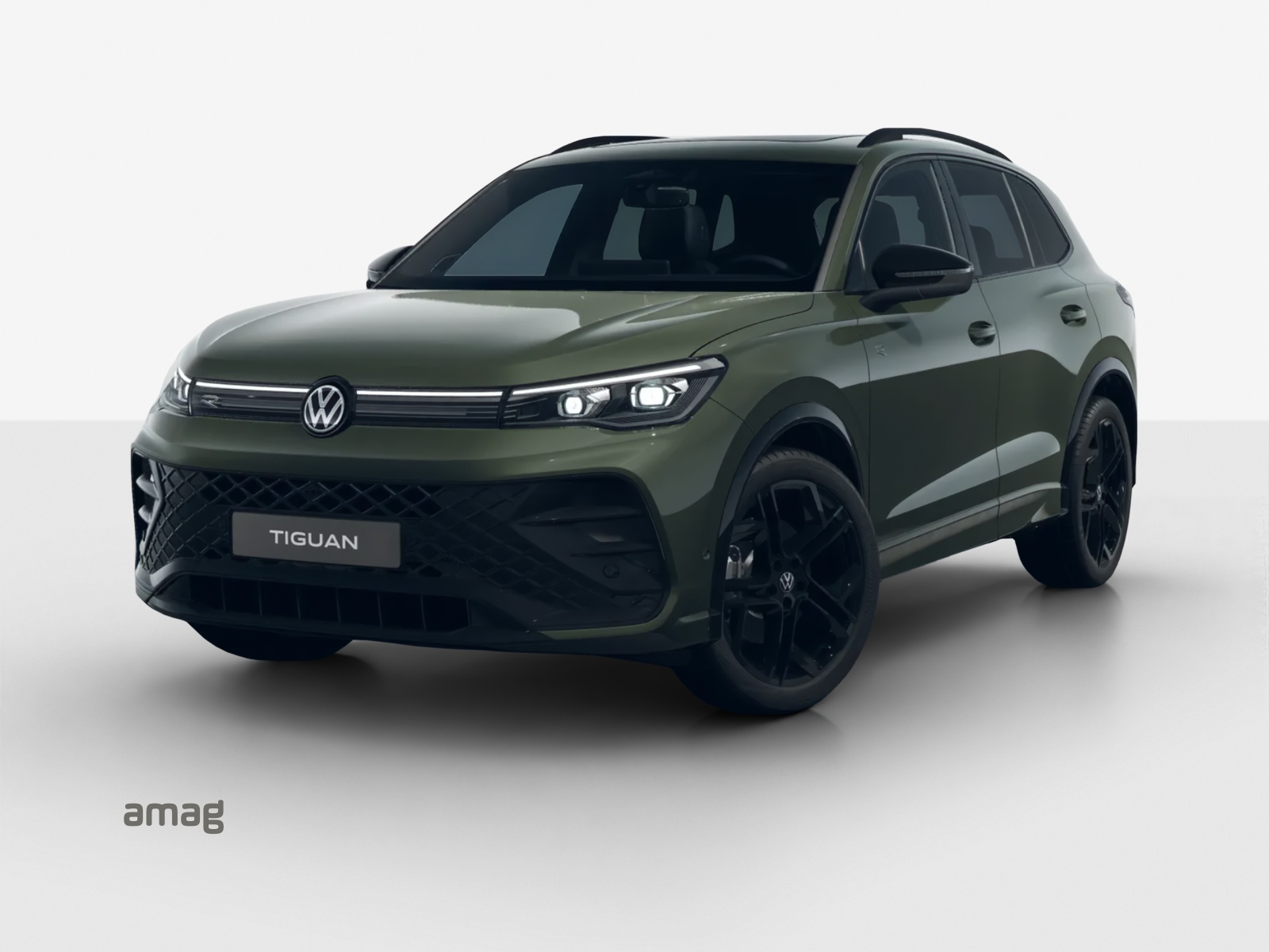 VW Tiguan 2.0 TSI DSG R-Line 4Motion-image-0