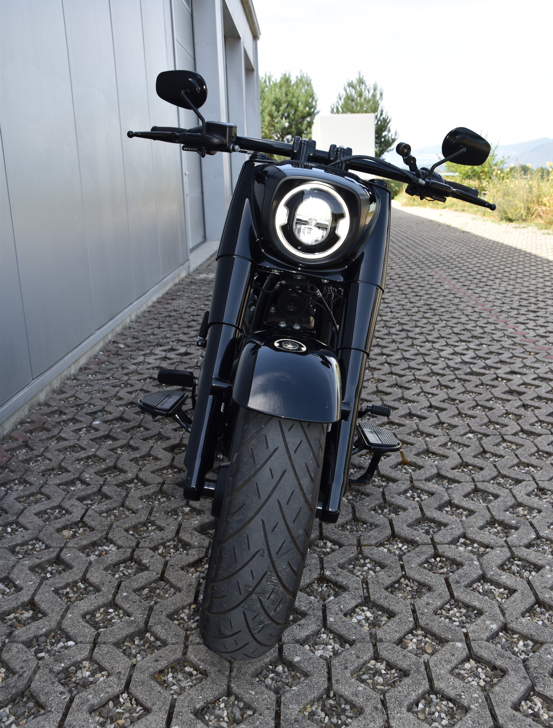 HARLEY-DAVIDSON FLFBSANV Fat Boy Anniversary 114 ABS-image-3