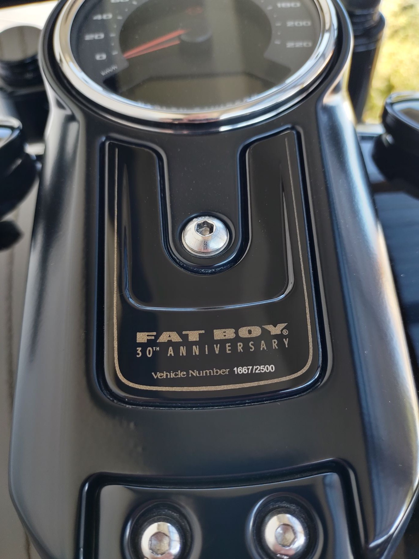 HARLEY-DAVIDSON FLFBSANV Fat Boy Anniversary 114 ABS-image-15