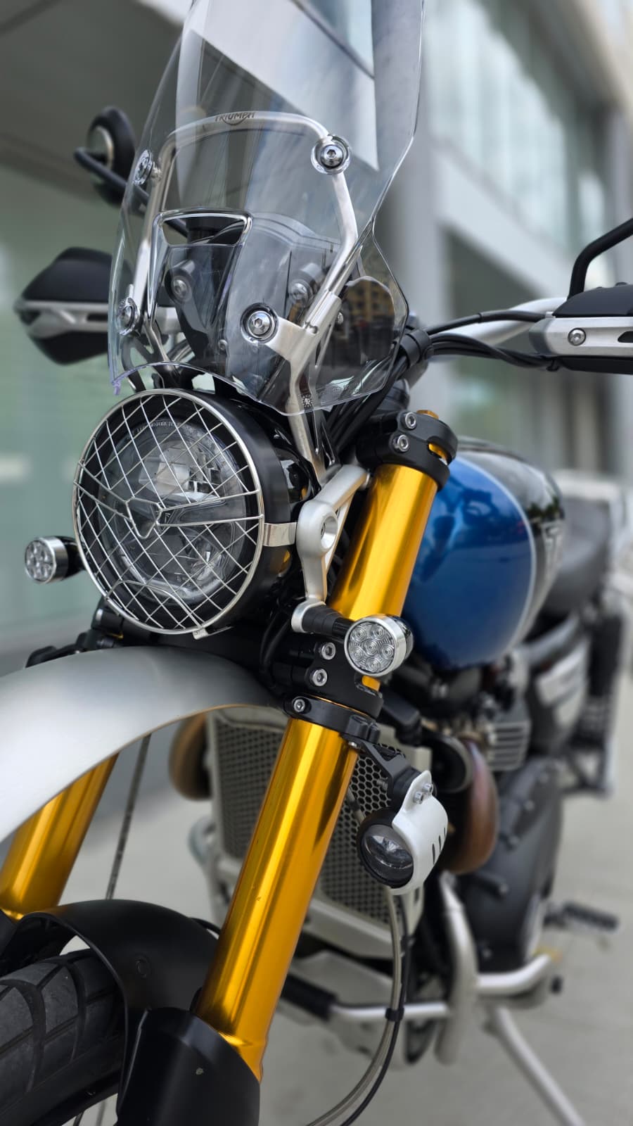 TRIUMPH Scrambler 1200 XE-image-4