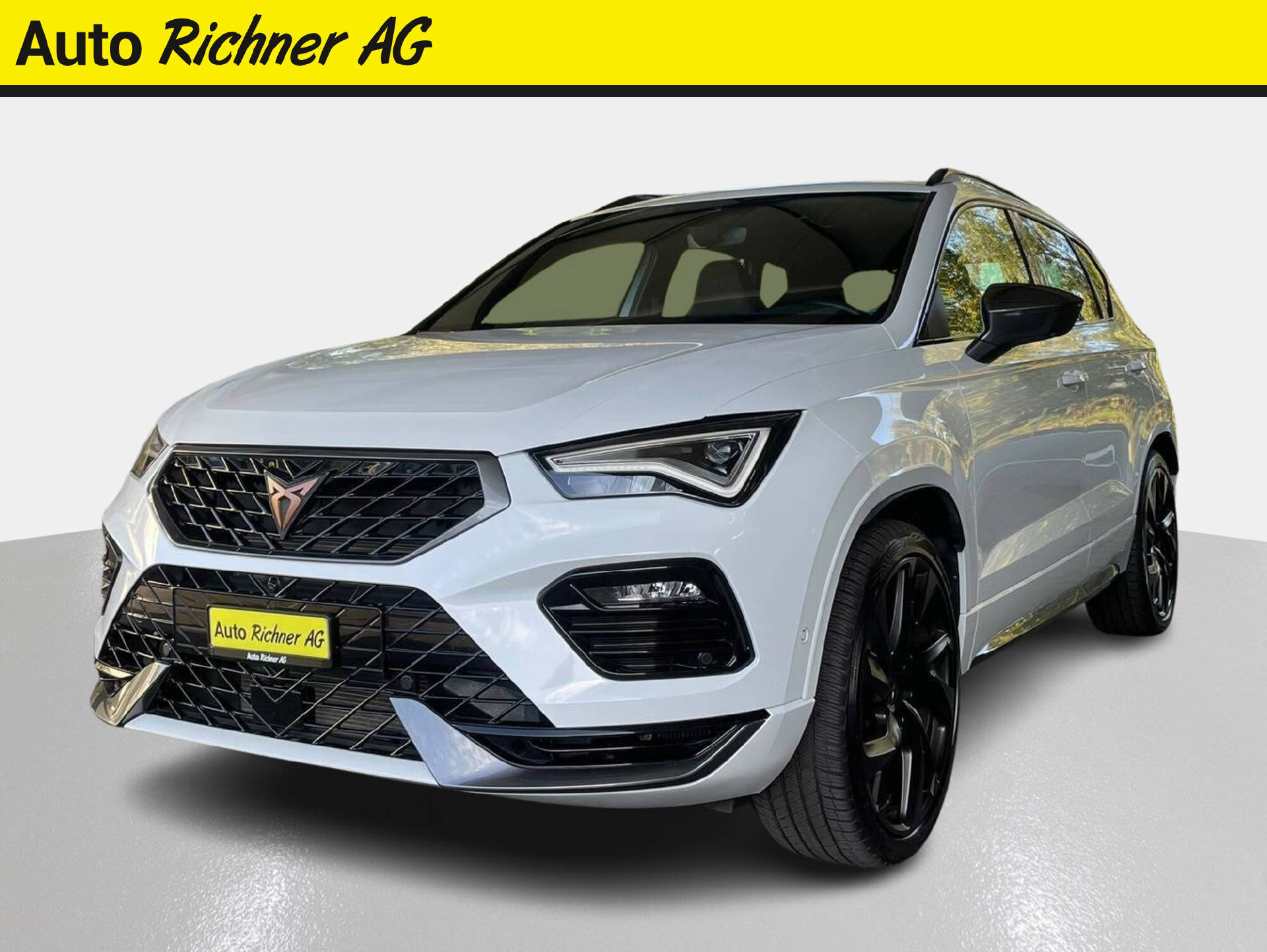 CUPRA Ateca 2.0 TSI VZ 4Drive DSG-showroom-element-1