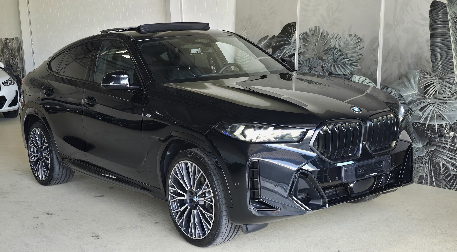 BMW X6 xDrive 48V 30d M Sport Pro Steptronic-showroom-element-1