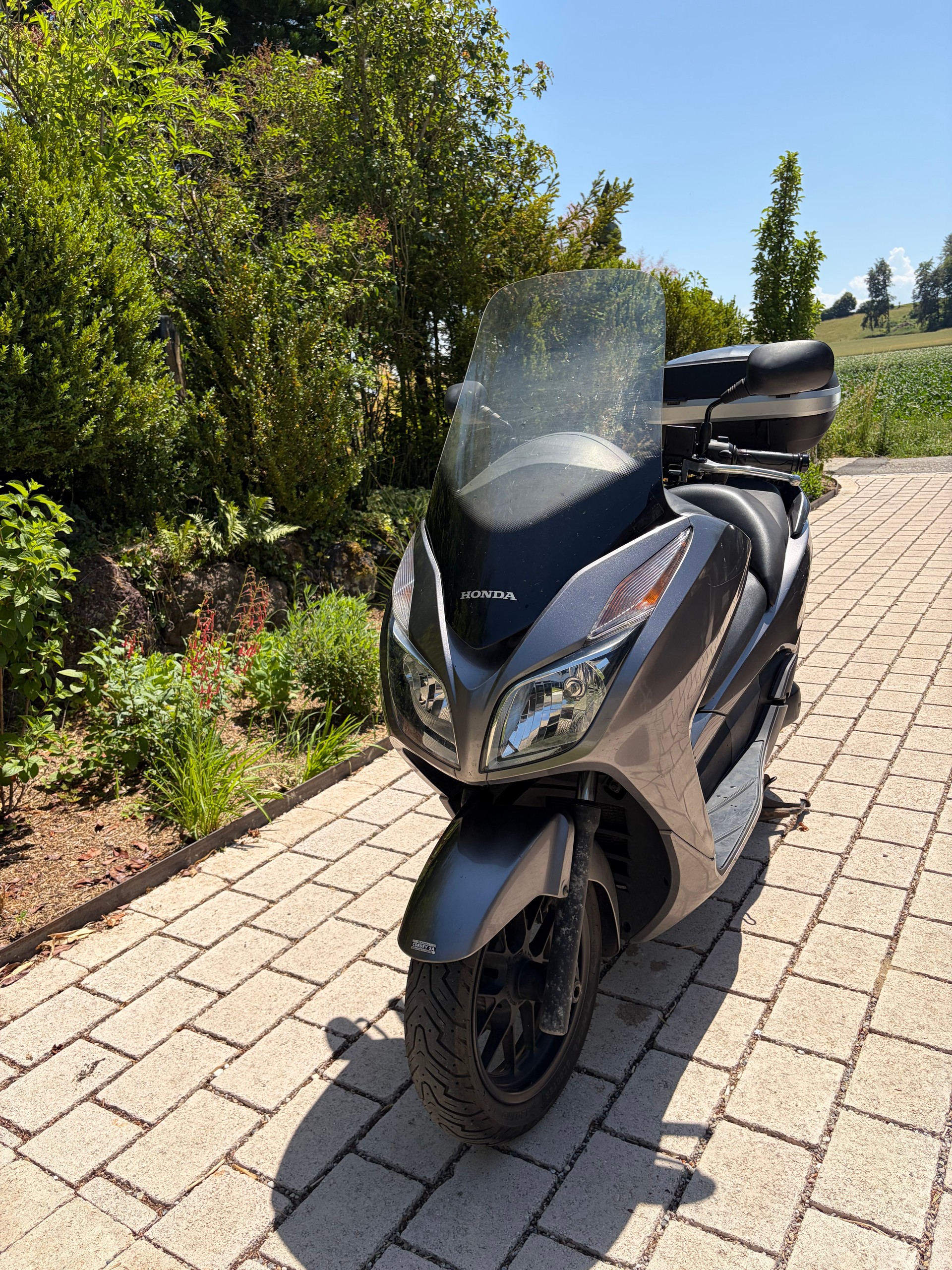 HONDA NSS 300 A ABS-image-6