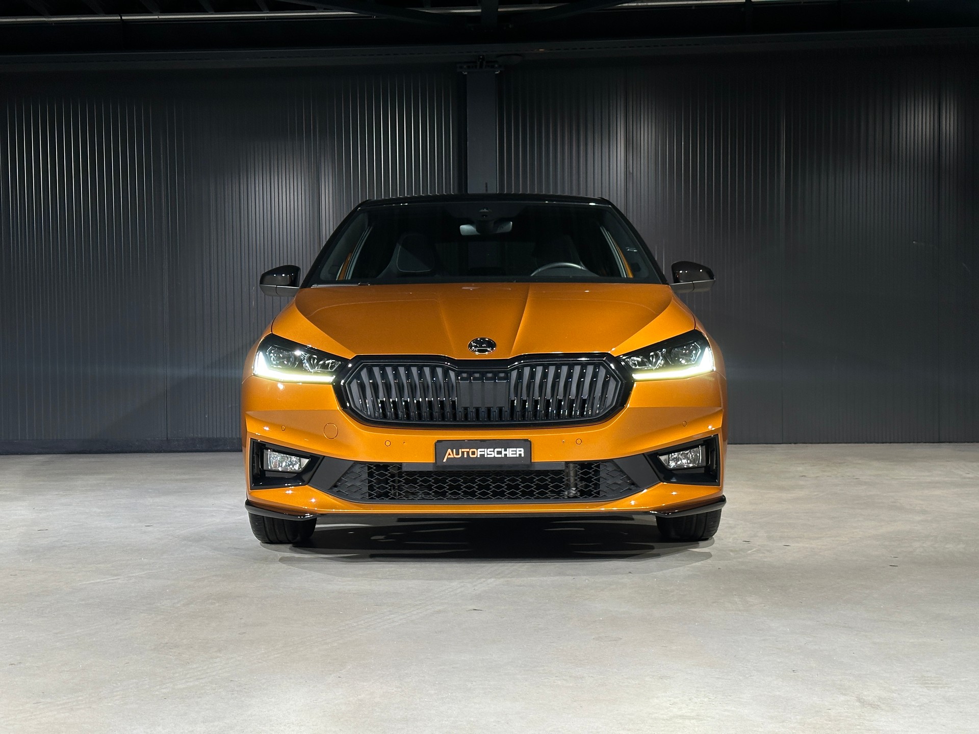 SKODA Fabia 1.0 TSI Monte Carlo DSG-showroom-element-2