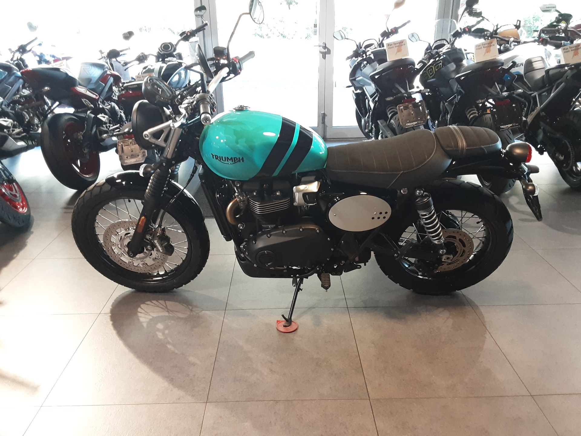 TRIUMPH Scrambler 900-image-1