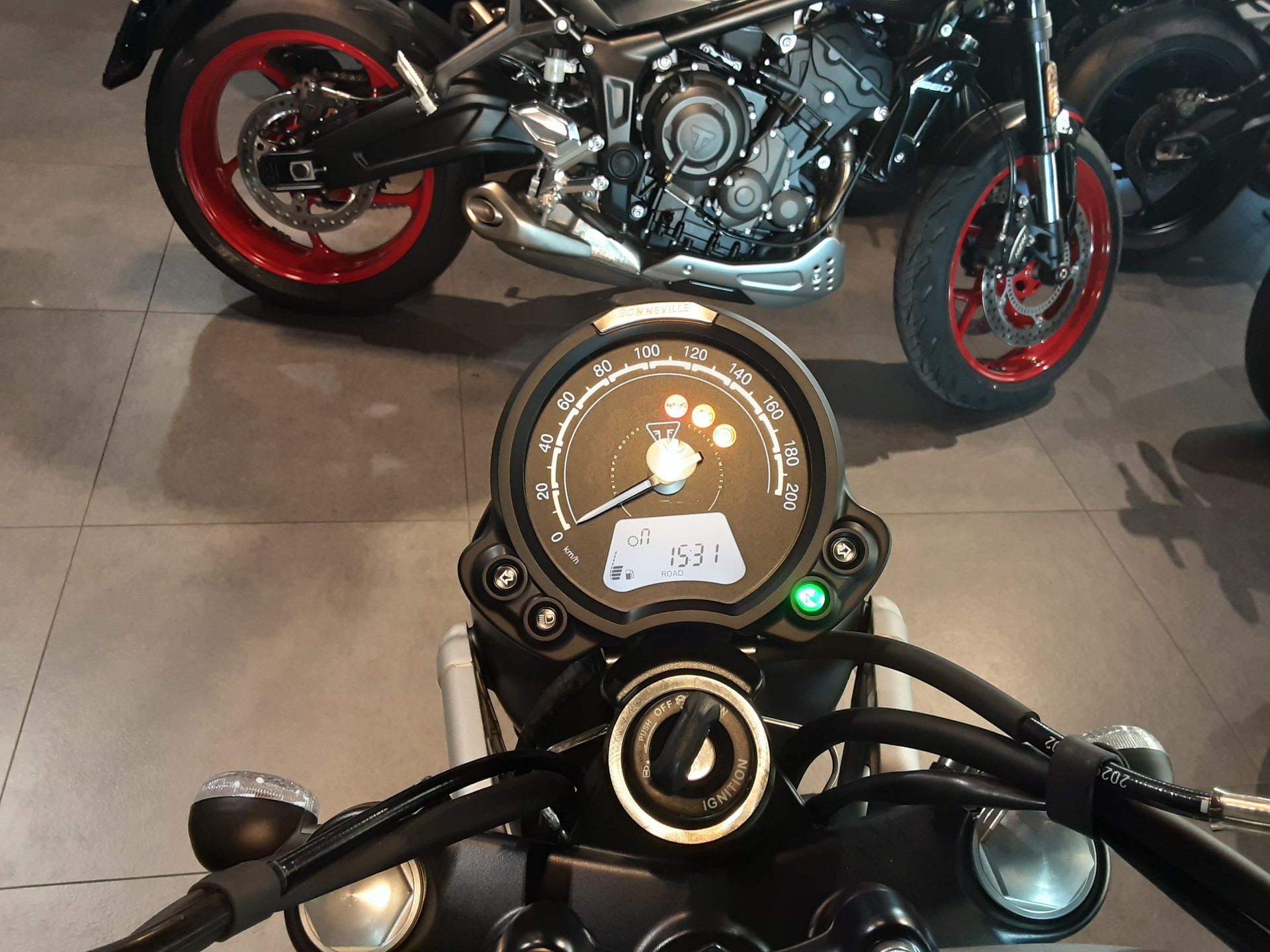 TRIUMPH Scrambler 900-image-6