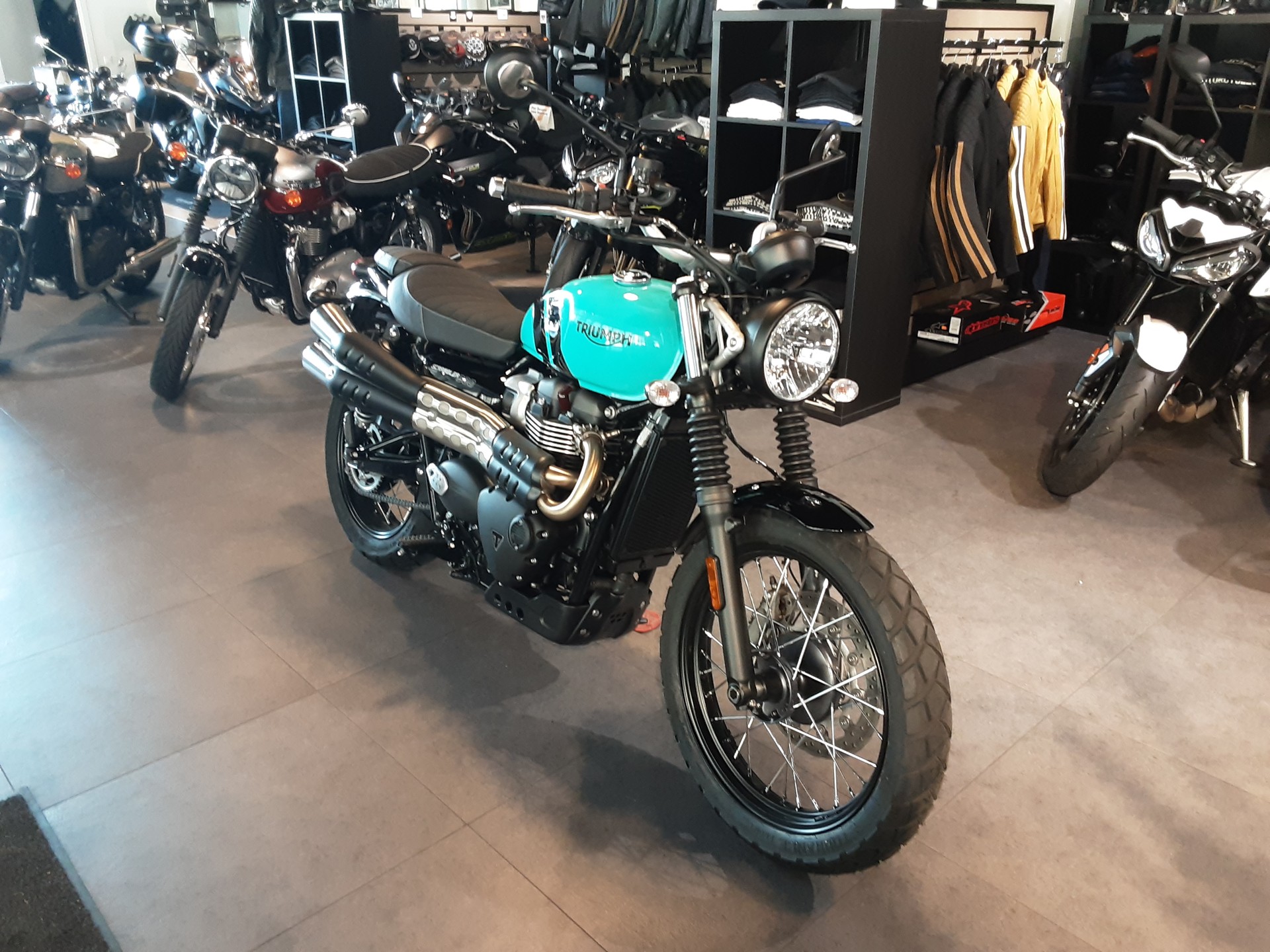 TRIUMPH Scrambler 900-image-2