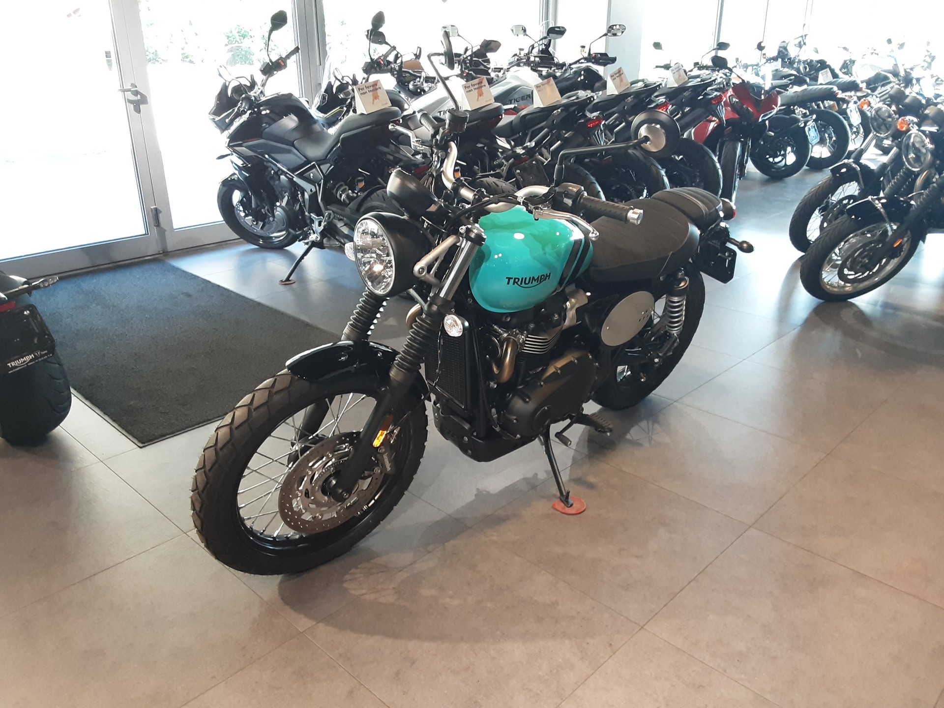 TRIUMPH Scrambler 900-image-3