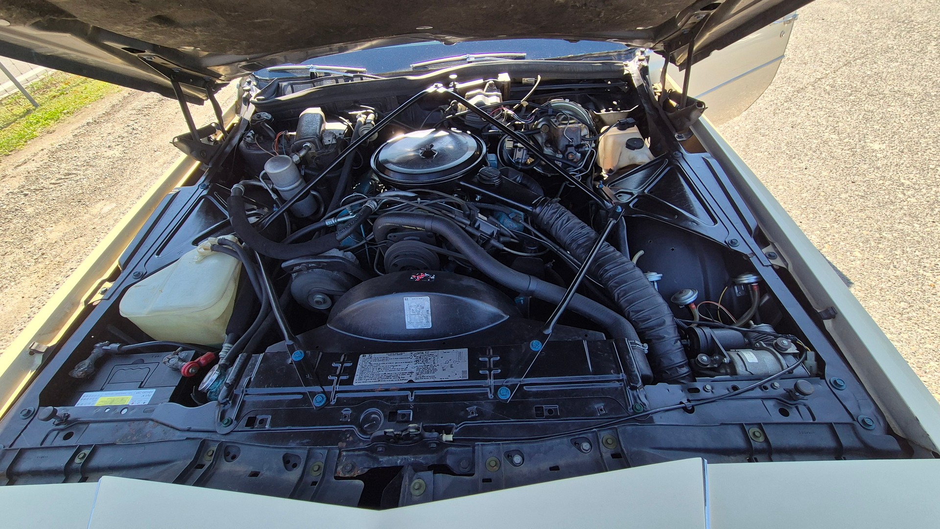 CADILLAC D'élégance-image-10