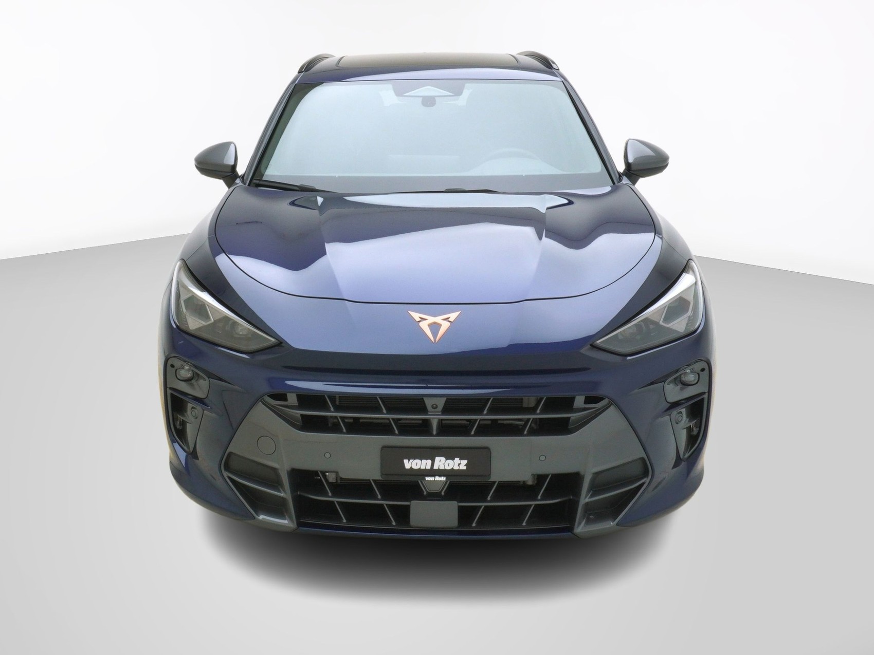 CUPRA Terramar 2.0 TSI 4Drive DSG-image-6