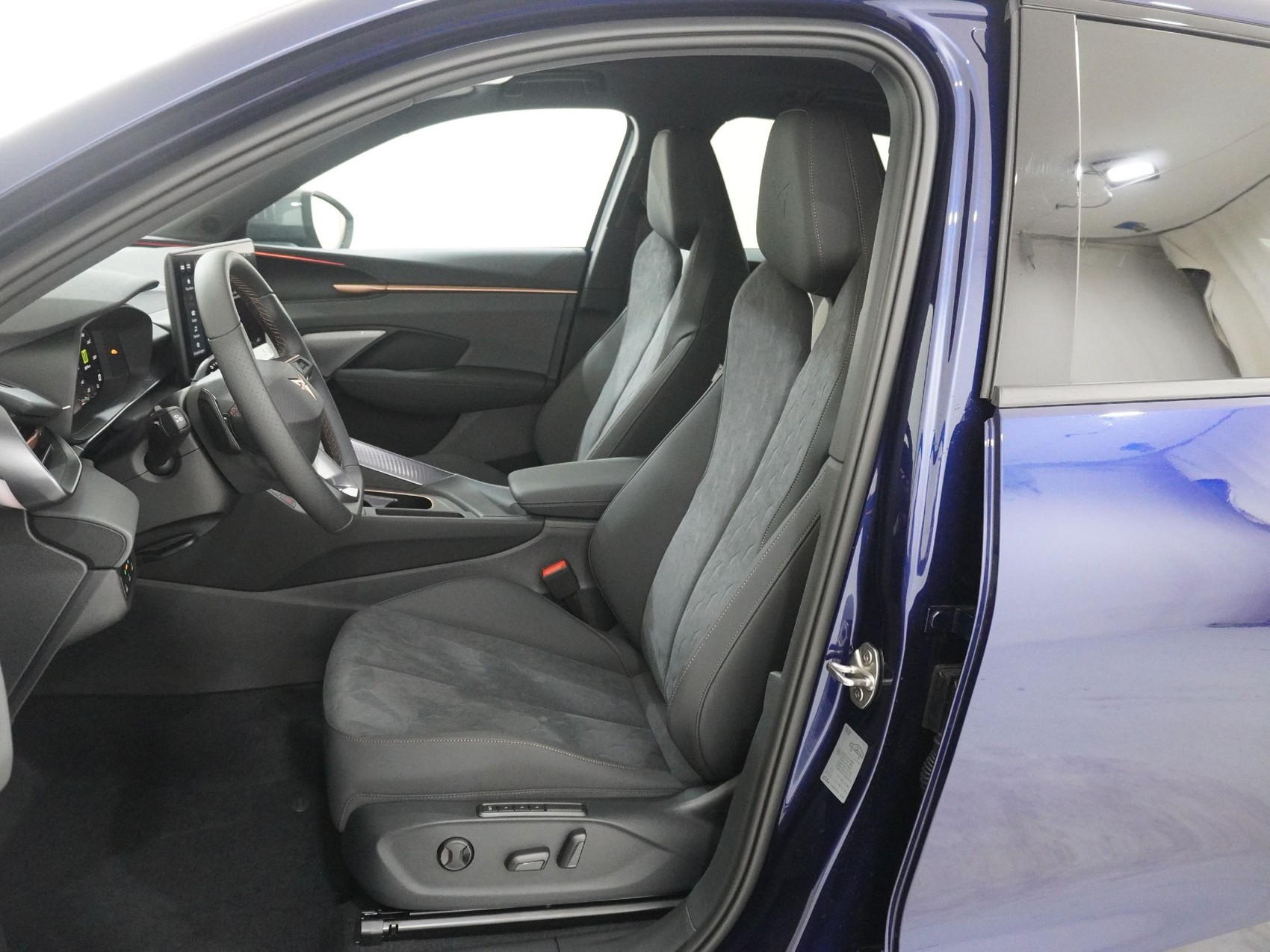 CUPRA Terramar 2.0 TSI 4Drive DSG-image-12