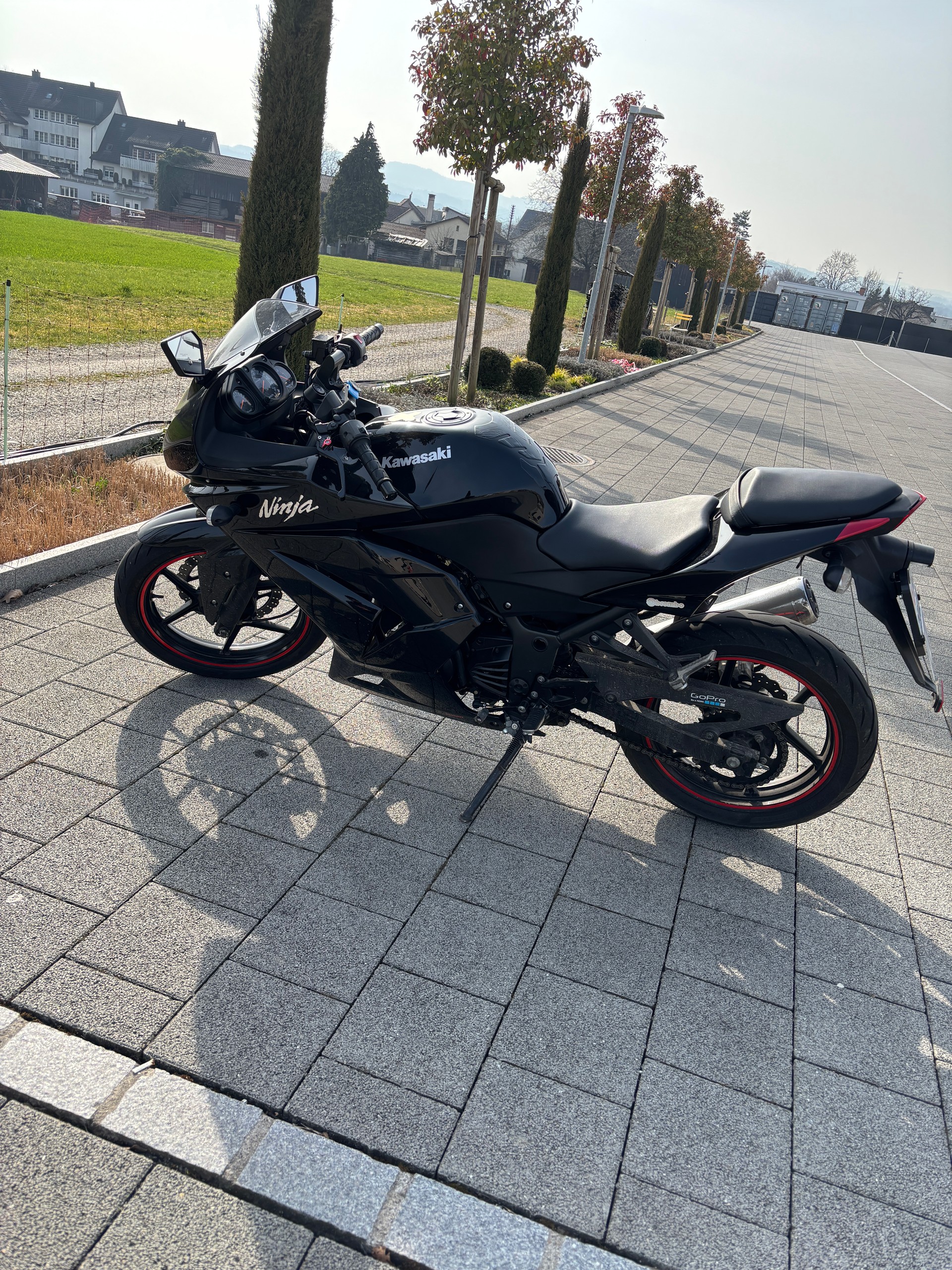 KAWASAKI Ninja 250 R-image-1