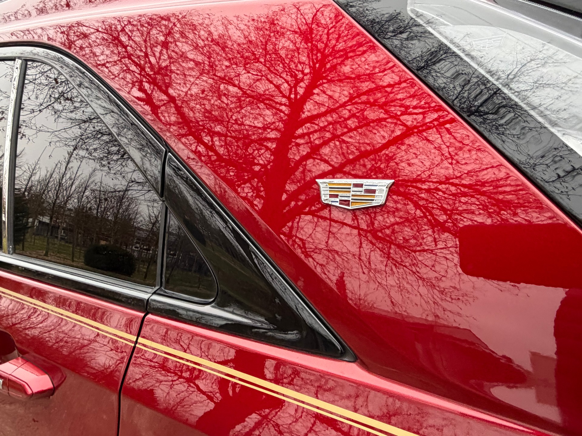 CADILLAC XT4 350T 2.0 Sport AWD-image-9