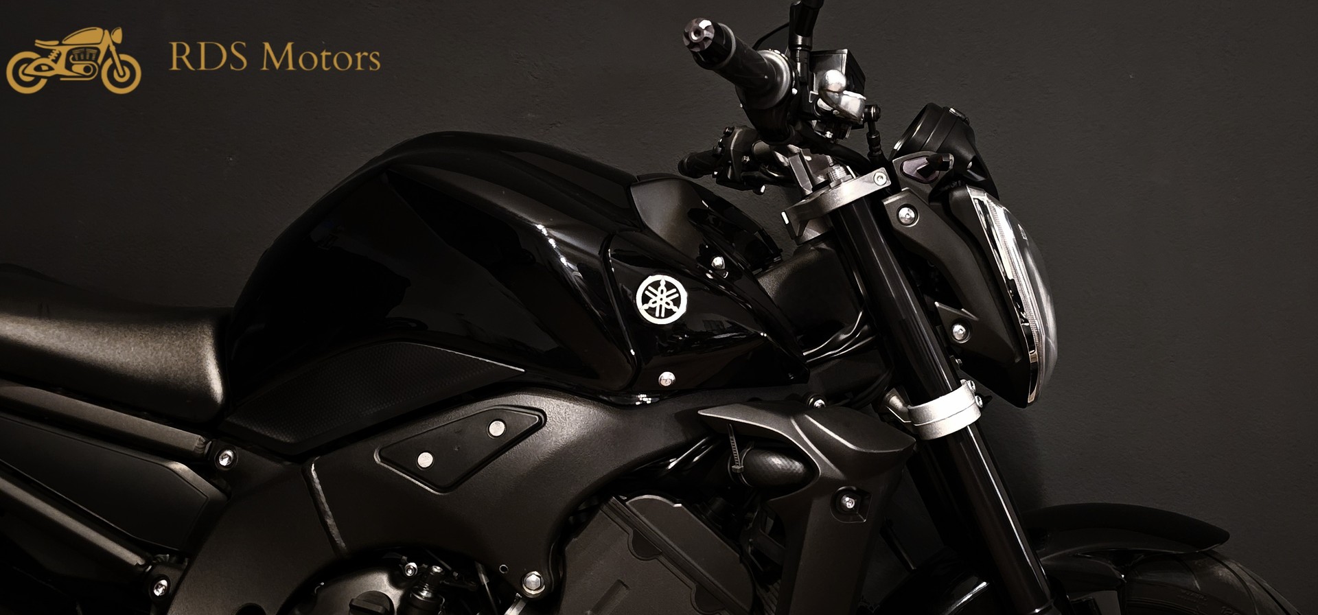 YAMAHA FZ1 N ABS-image-1