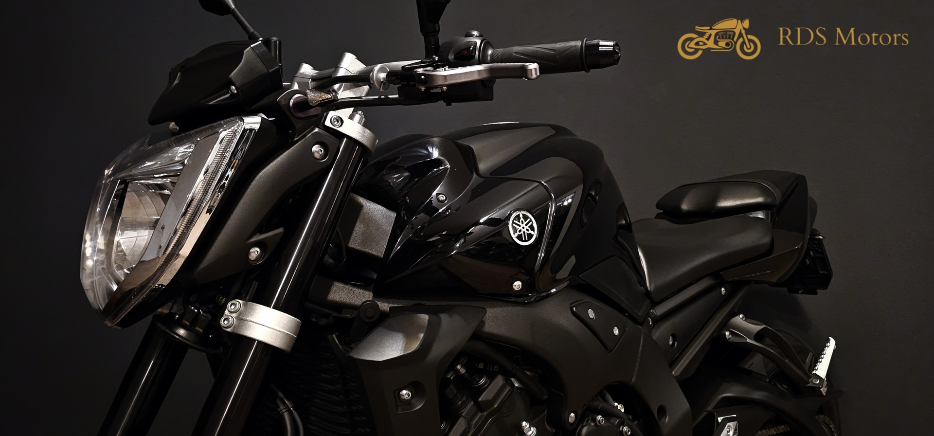 YAMAHA FZ1 N ABS-image-4