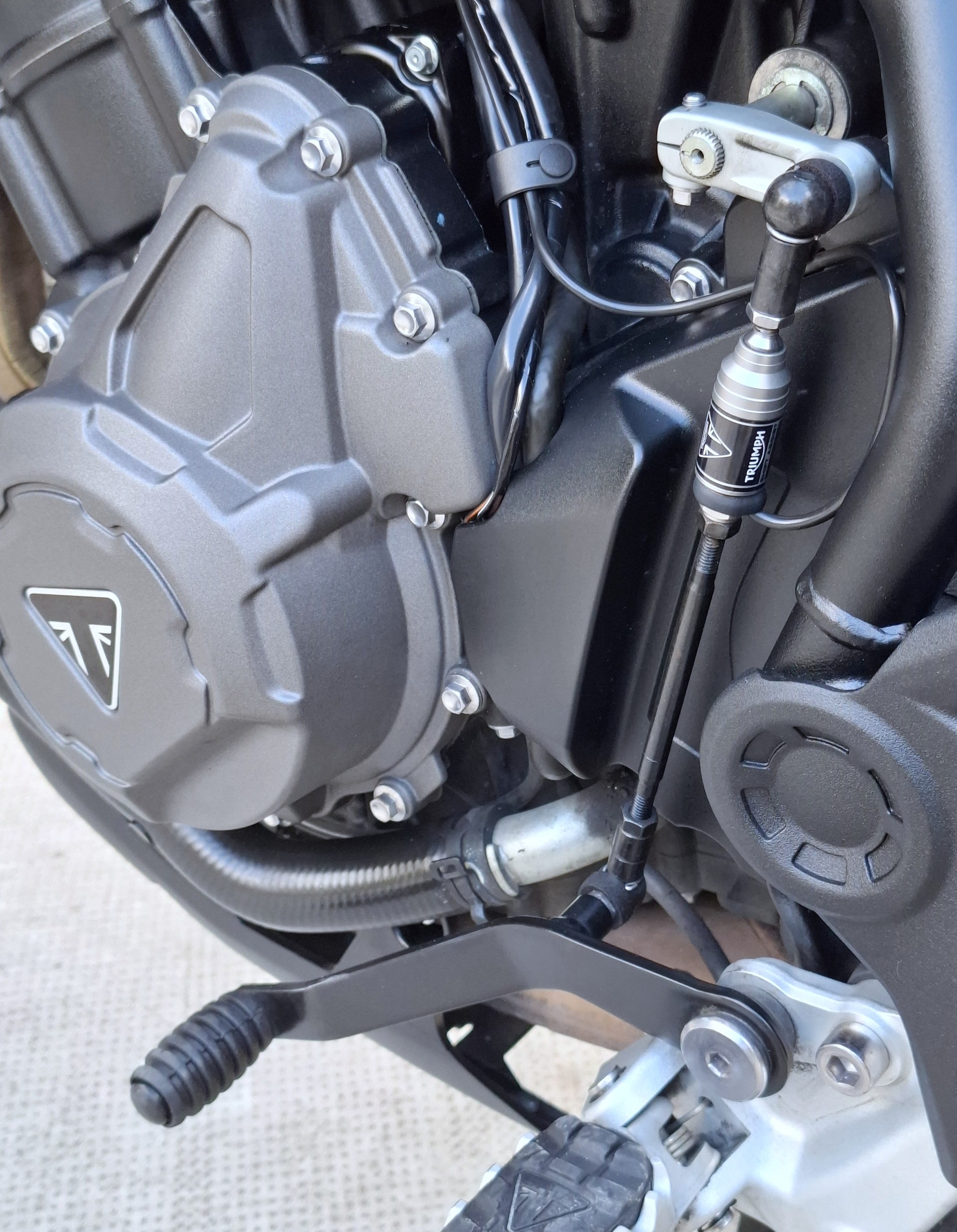 TRIUMPH Tiger 900 GT Pro-image-9