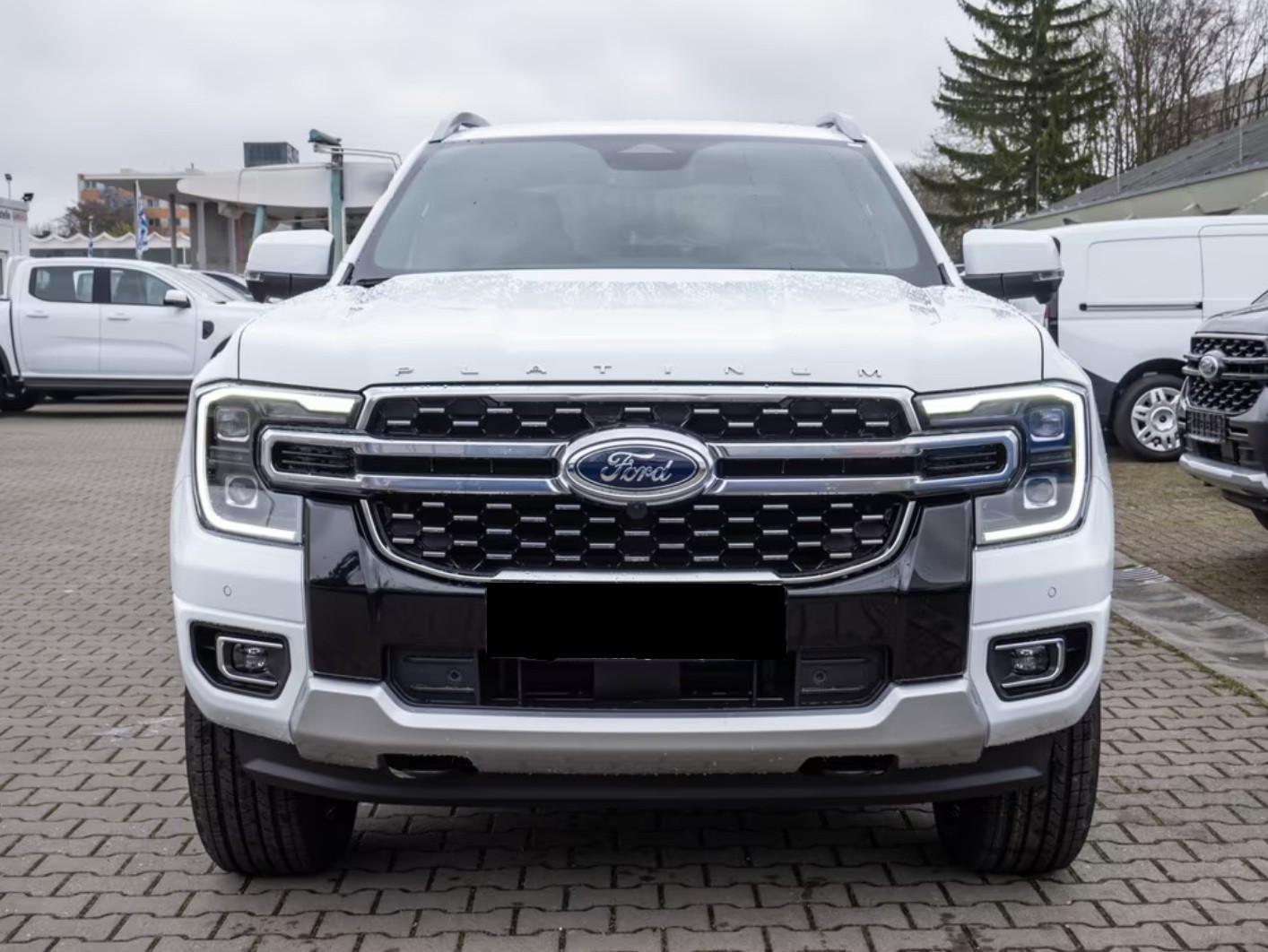 FORD Ranger Platinum 3.0 DoKa-showroom-element-1