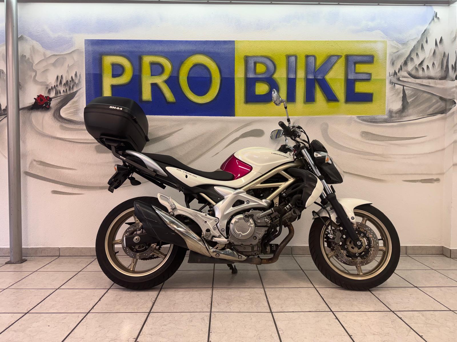 SUZUKI SFV 650 Gladius (25kW)-showroom-element-1