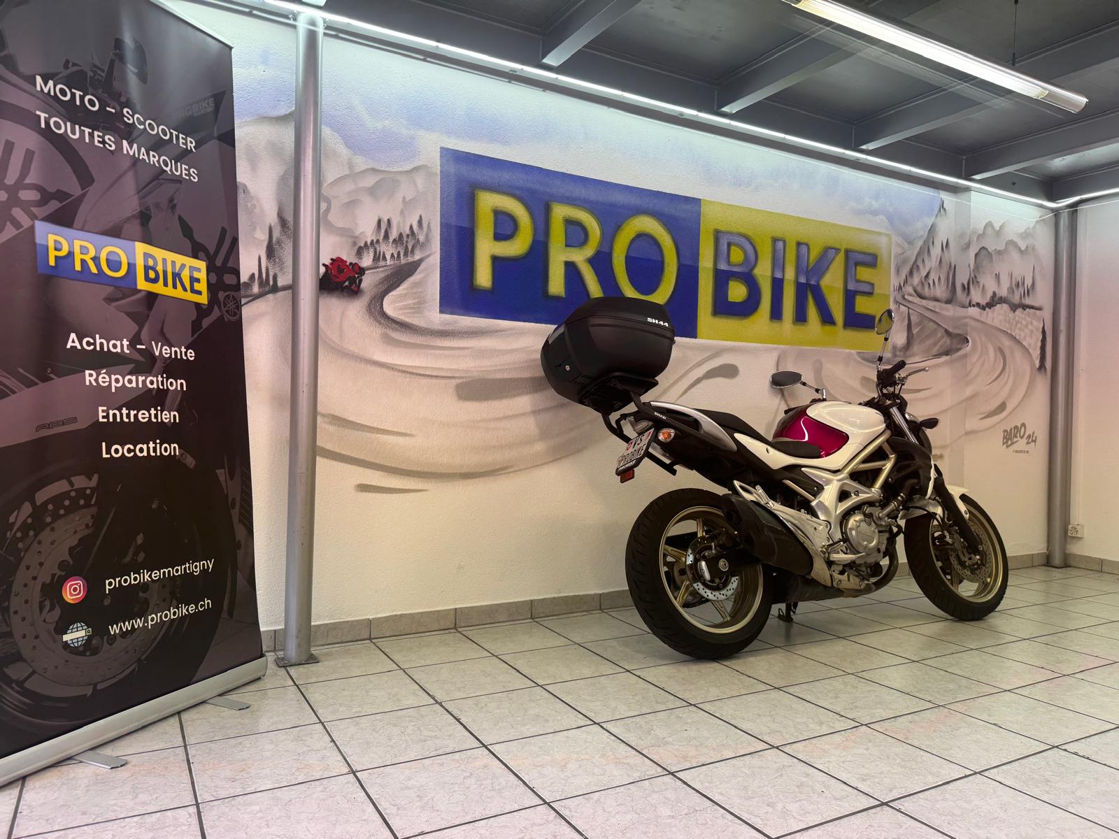 SUZUKI SFV 650 Gladius (25kW)-showroom-element-2