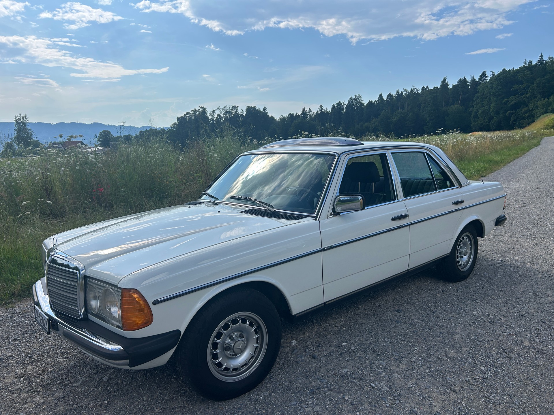 MERCEDES-BENZ WDB 123-image-2