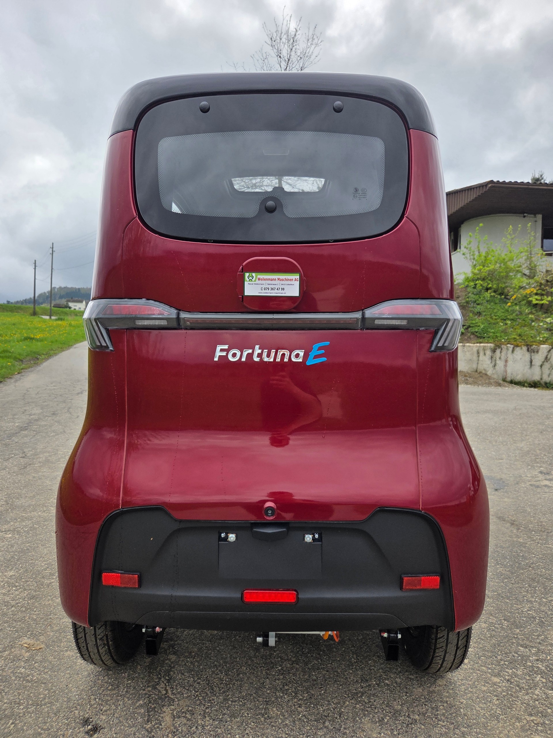 FORTUNA Fortuna E (Töfflenker)-image-1