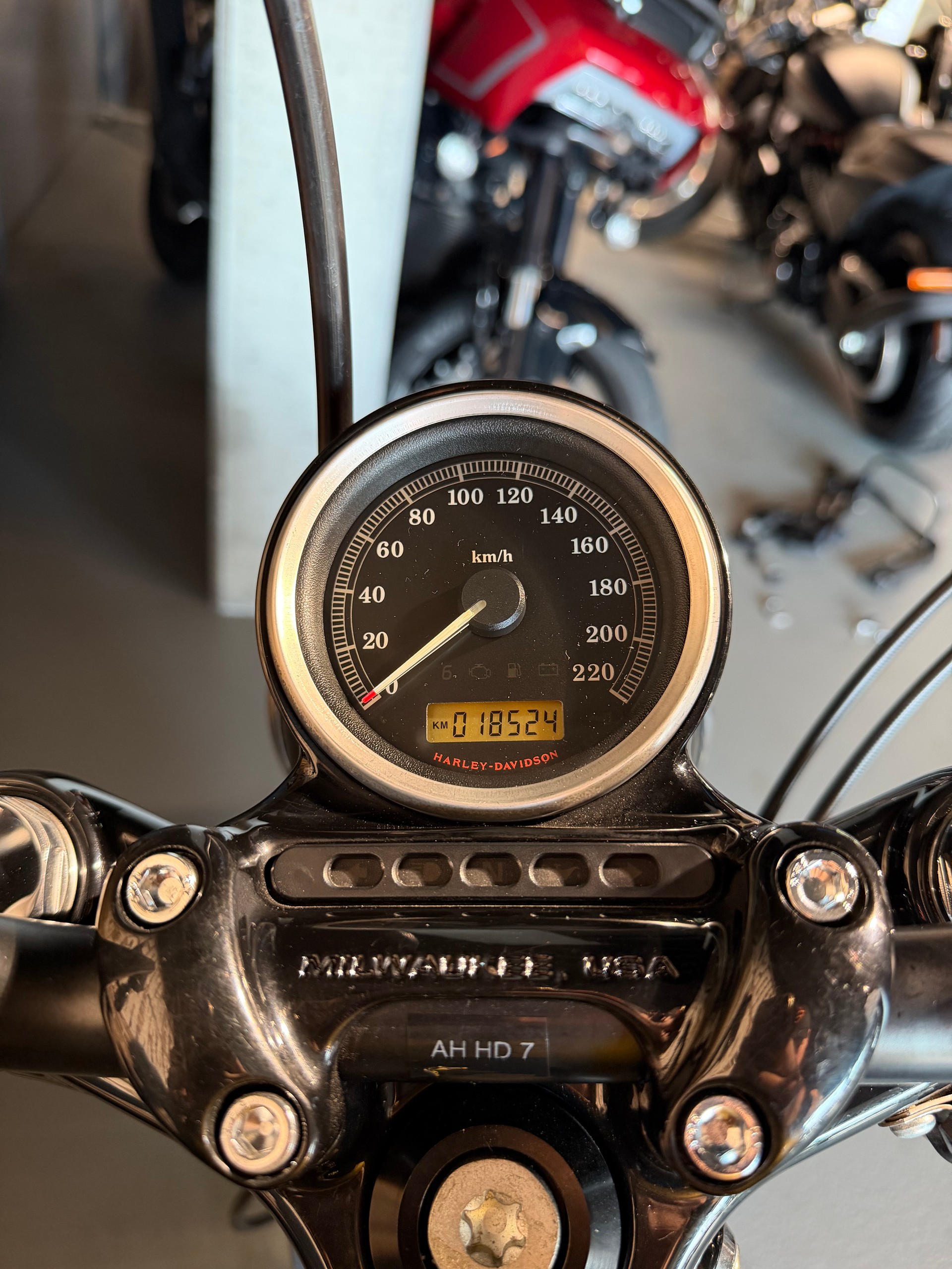 HARLEY-DAVIDSON XL 1200 X Forty Eight-image-14
