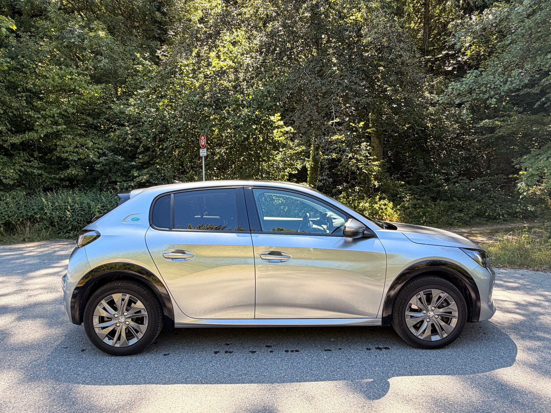 PEUGEOT e-GT Line-image-4
