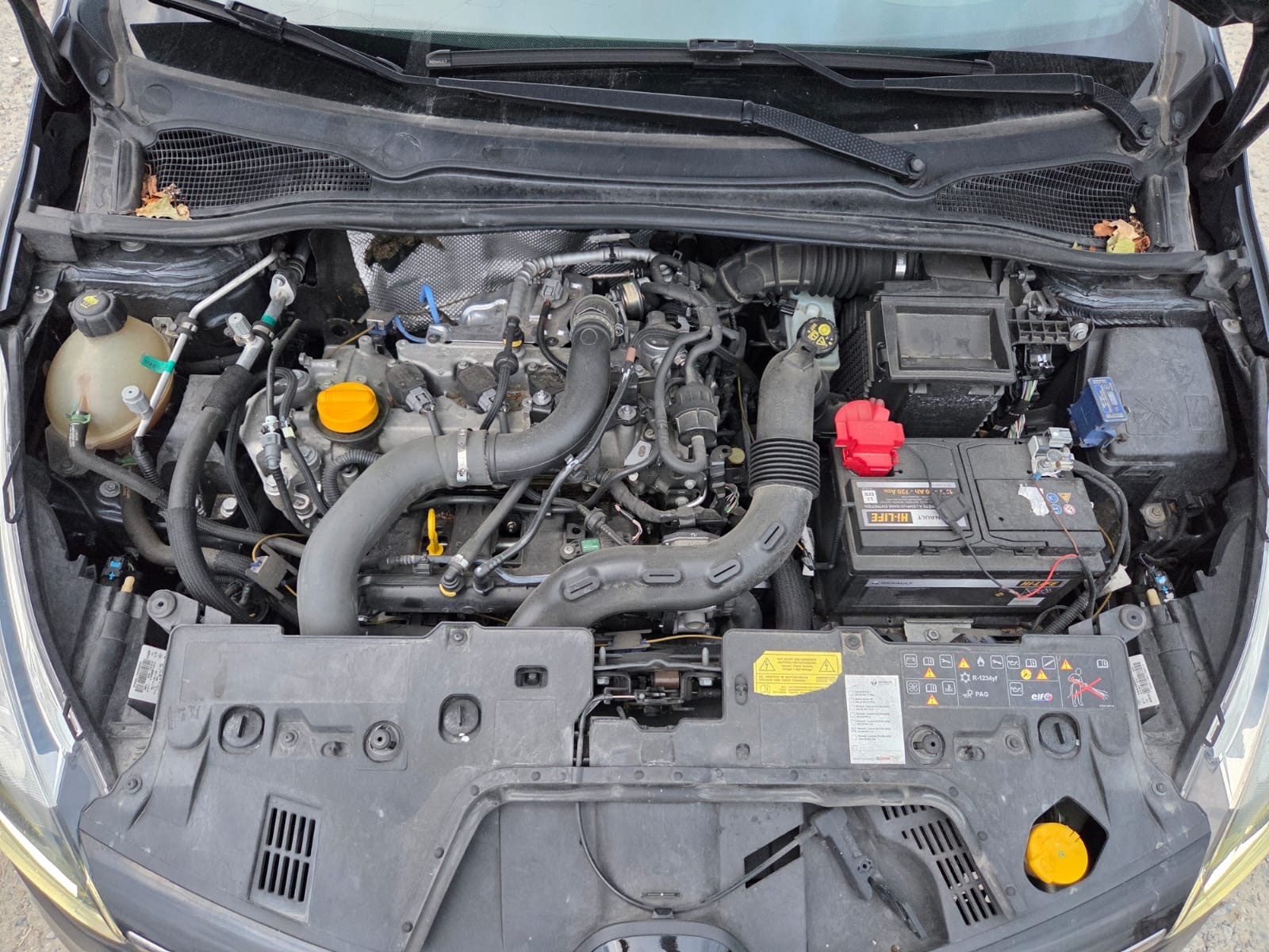 RENAULT Clio 1.2 16V T Swiss Edition EDC-image-14