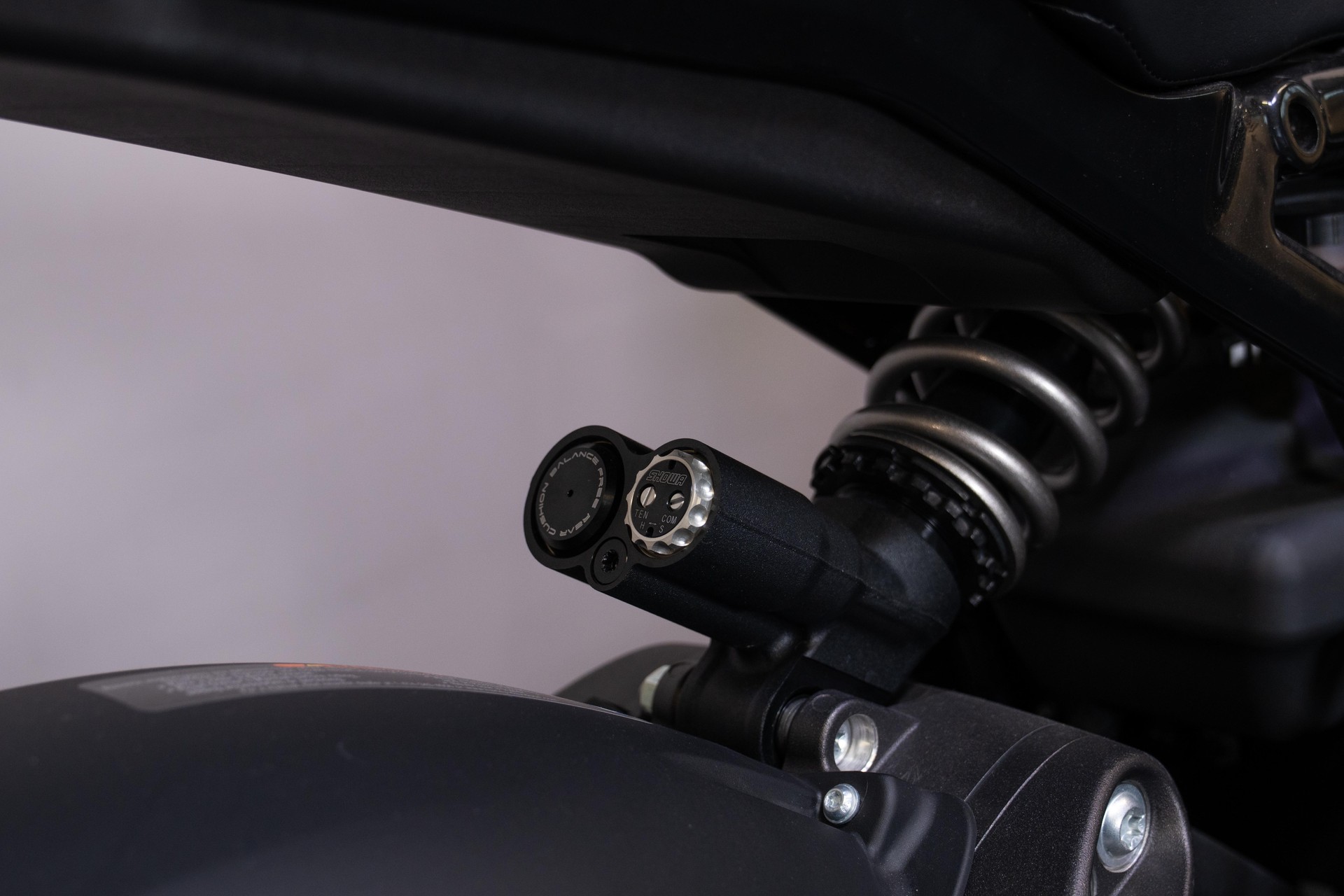 HARLEY-DAVIDSON Live Wire-image-8
