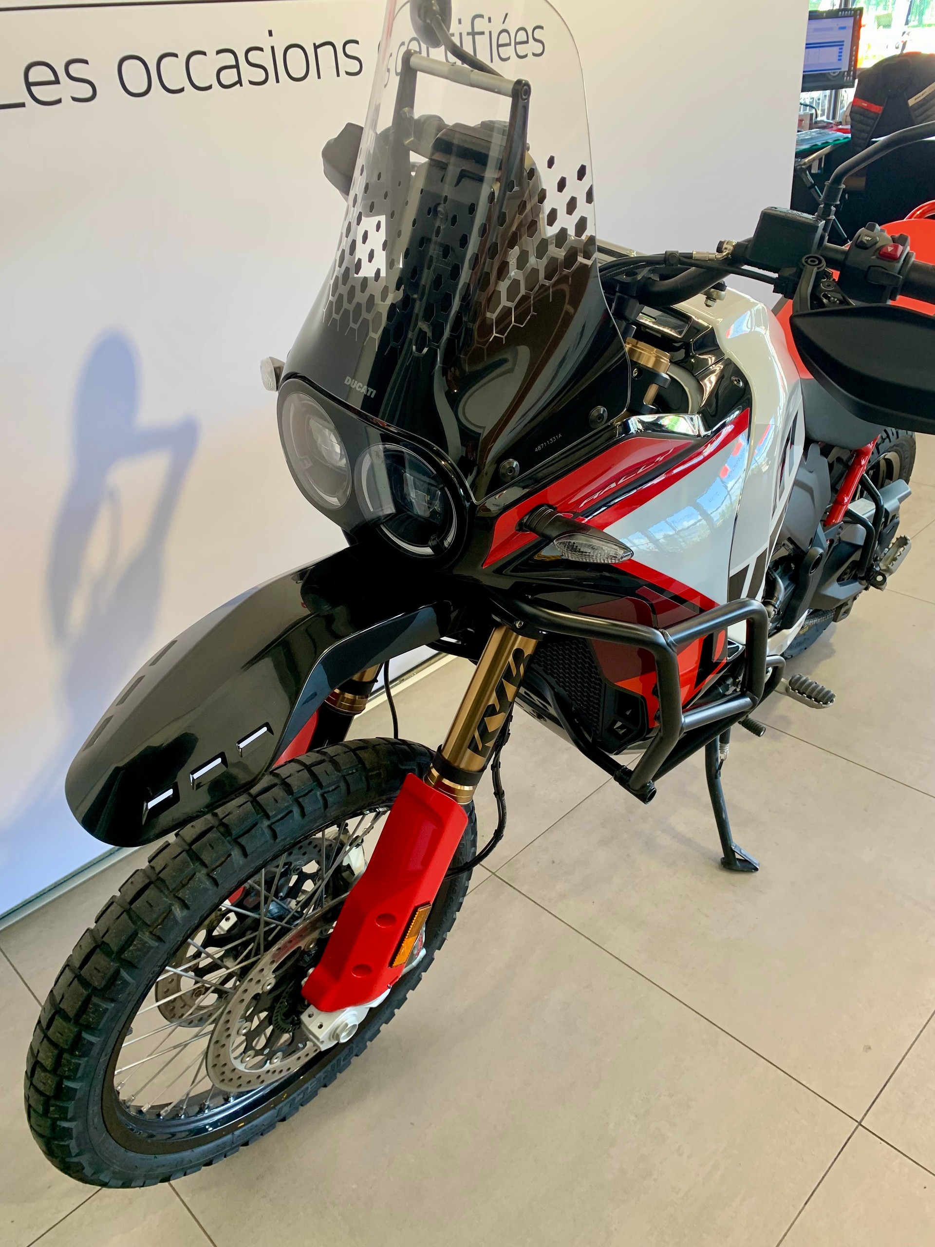 DUCATI Desert X Rally-image-4